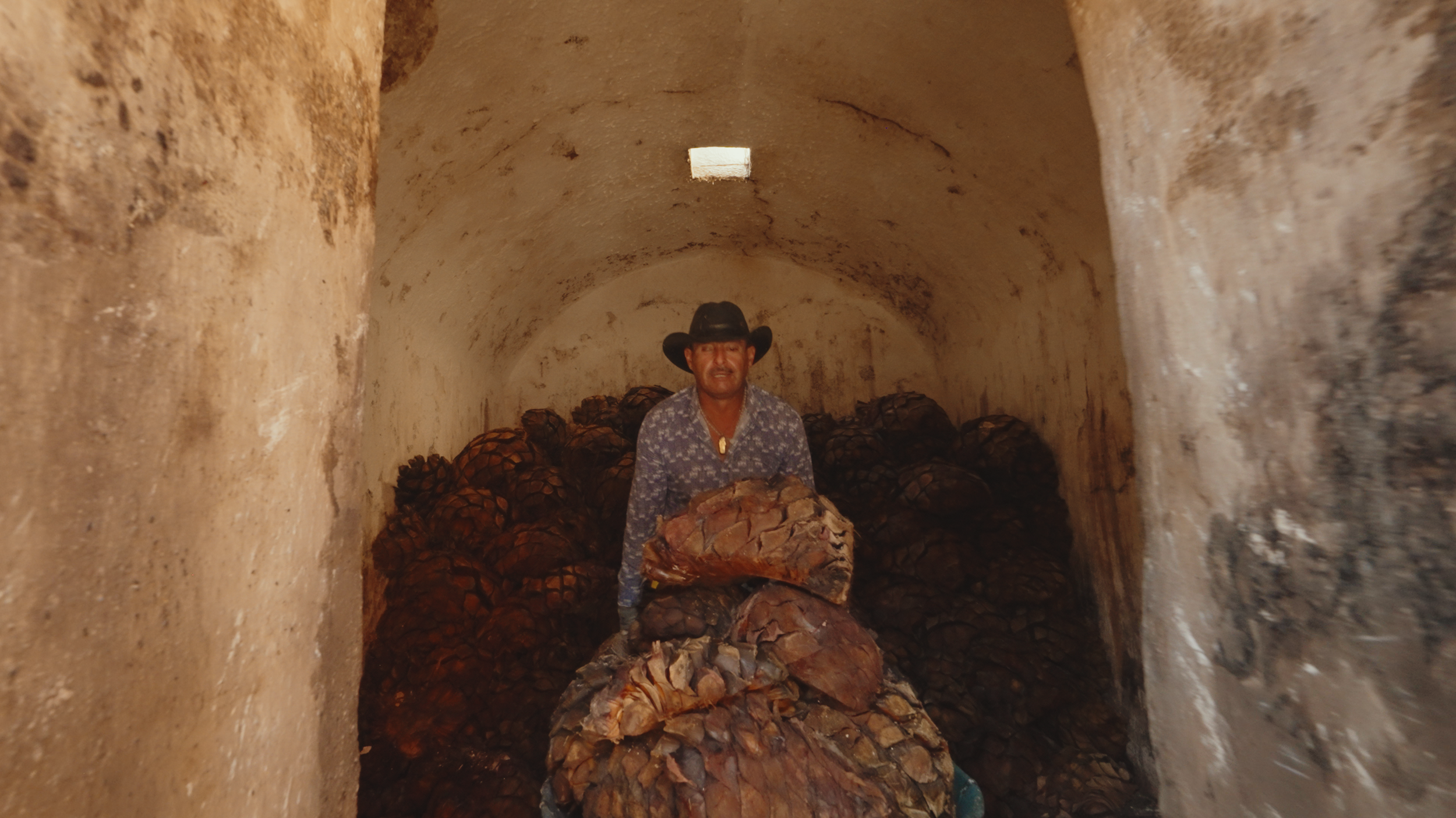 Aguasol Reels.00_03_51_14.Still018.png