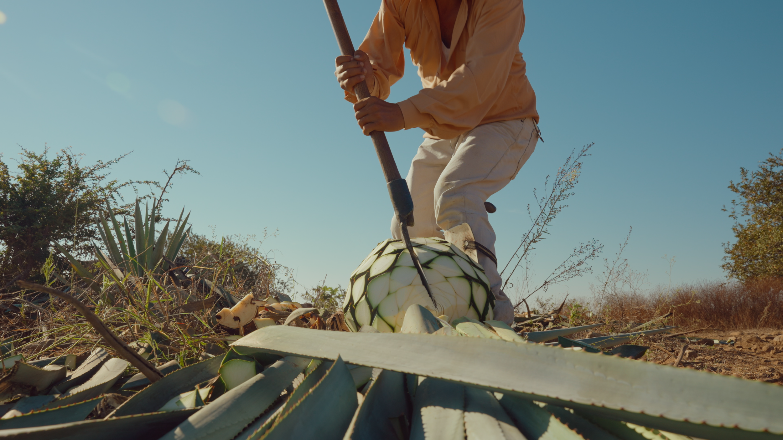 Aguasol Reels.00_01_23_16.Still007.png