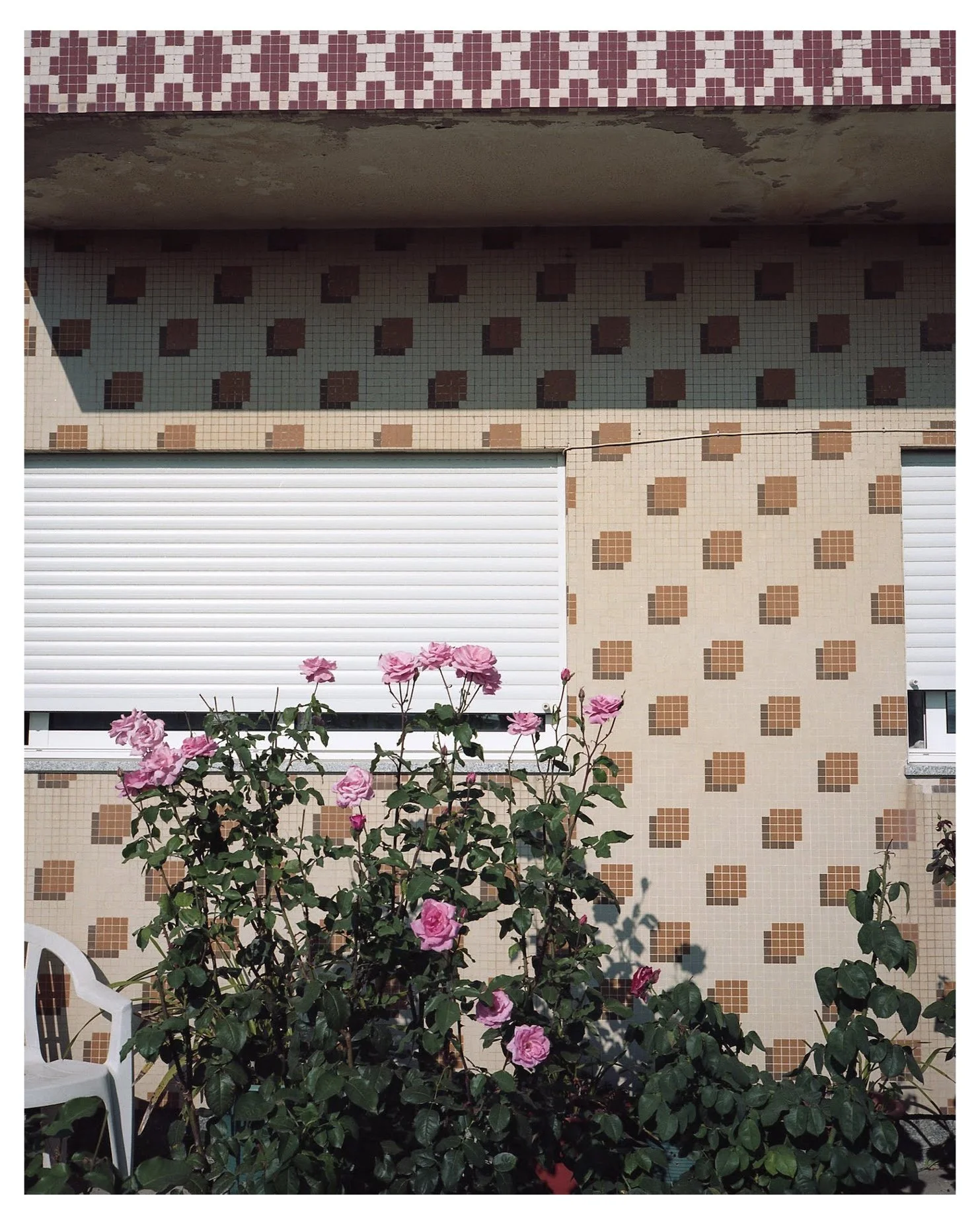 Fuji GA645 | Portra 400