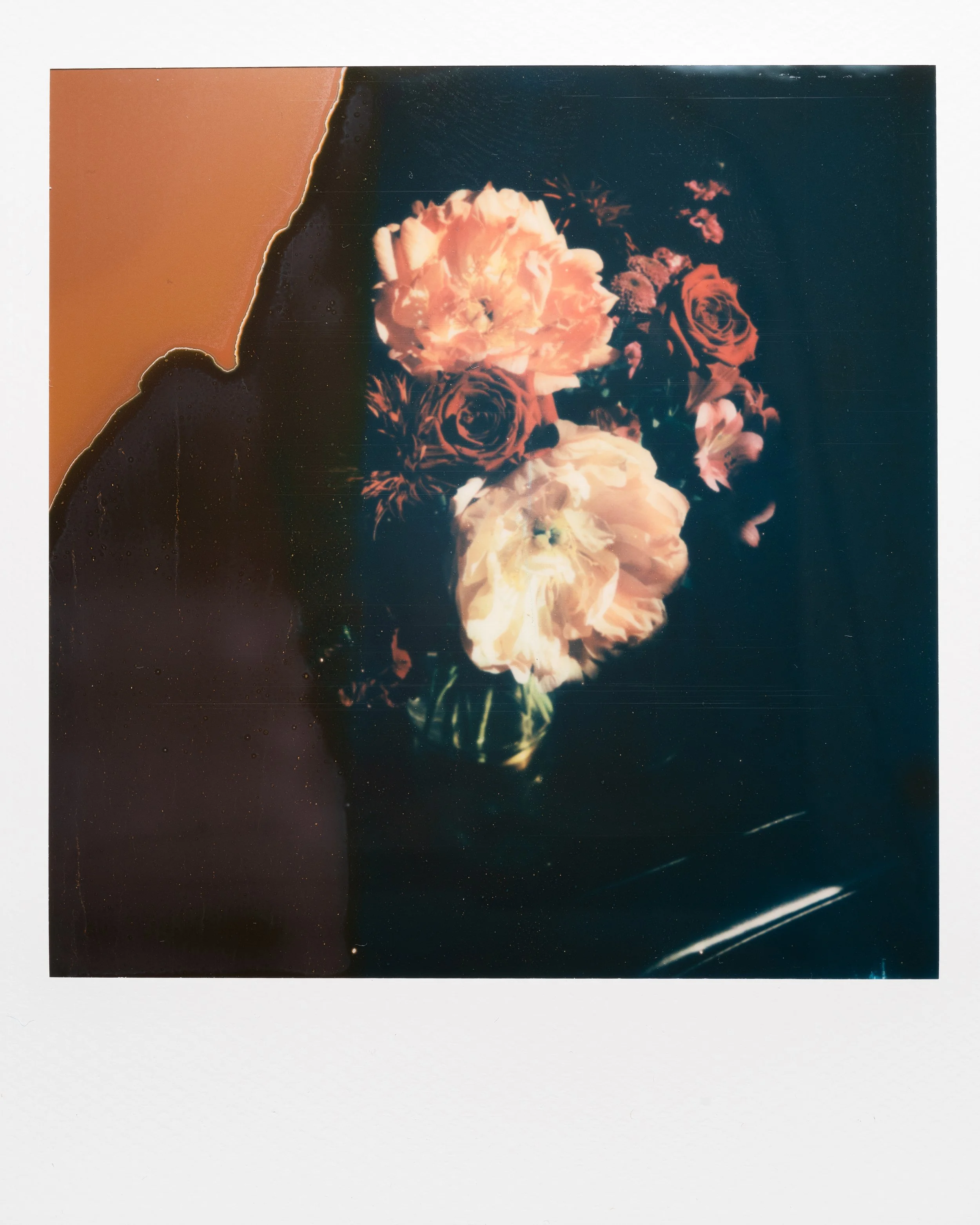 Polaroid Garden-020.jpg