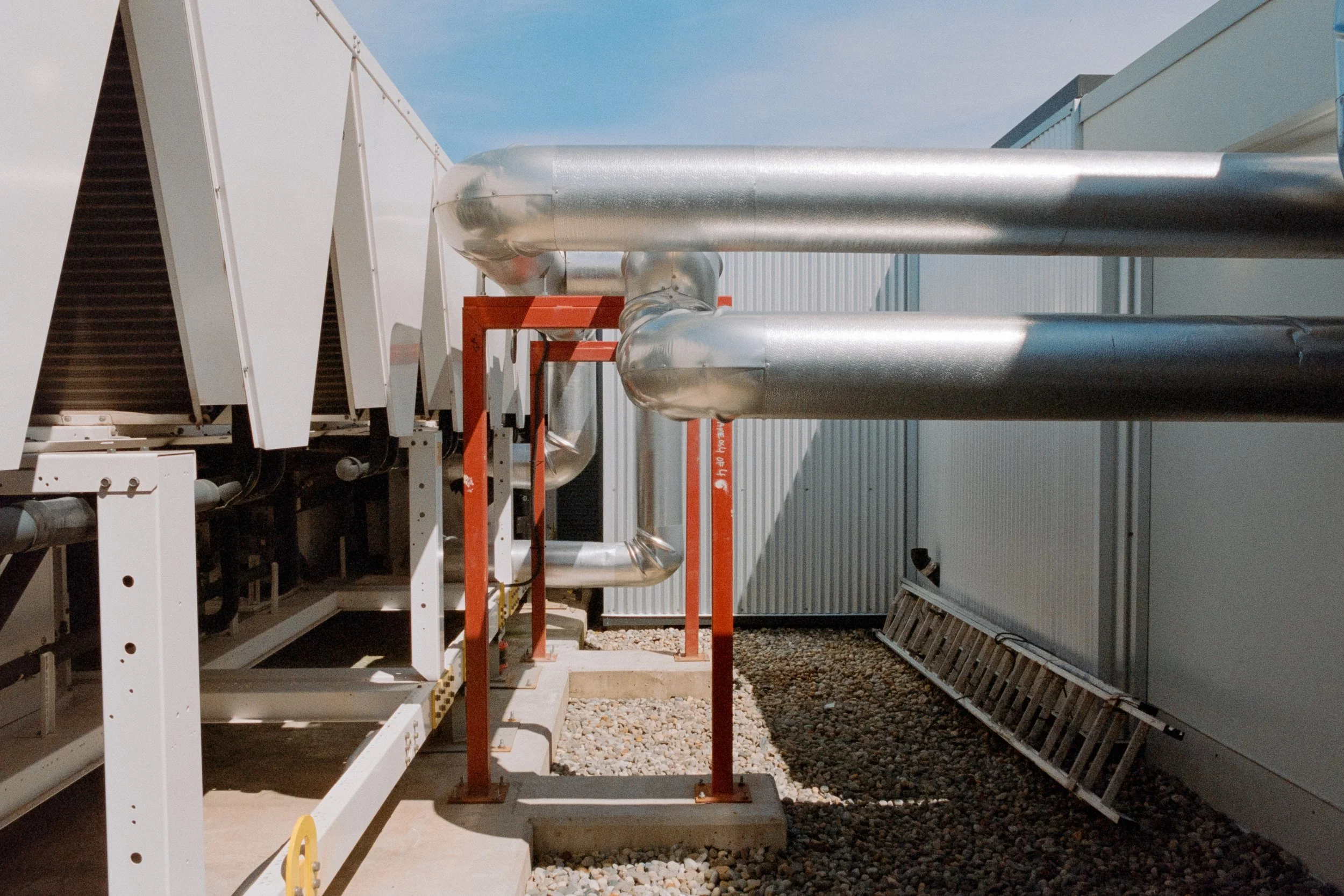 Nikon F3 | Aurora 800