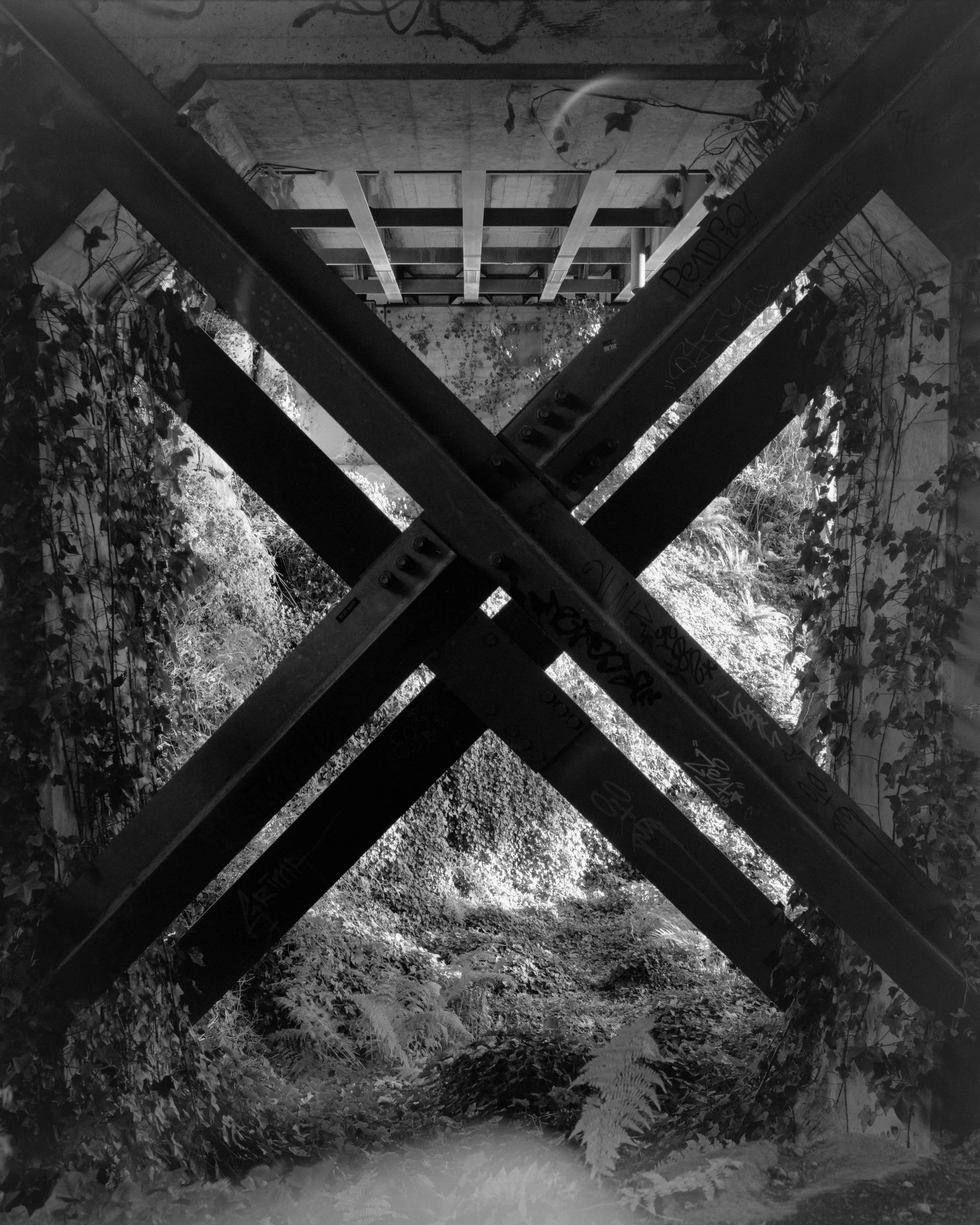 Mamiya RB67 | FP4 Plus