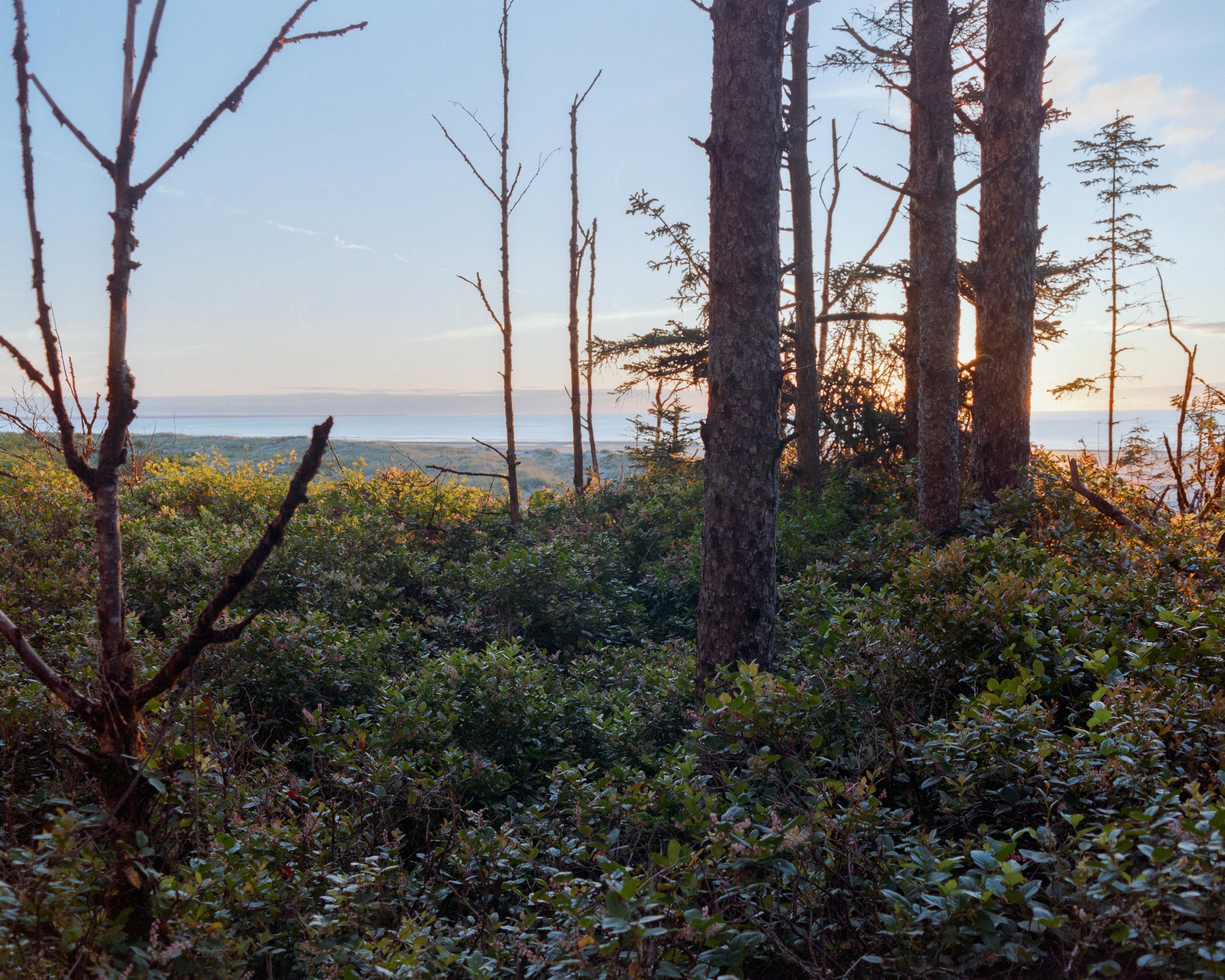 Mamiya RB67 | Pro 400H
