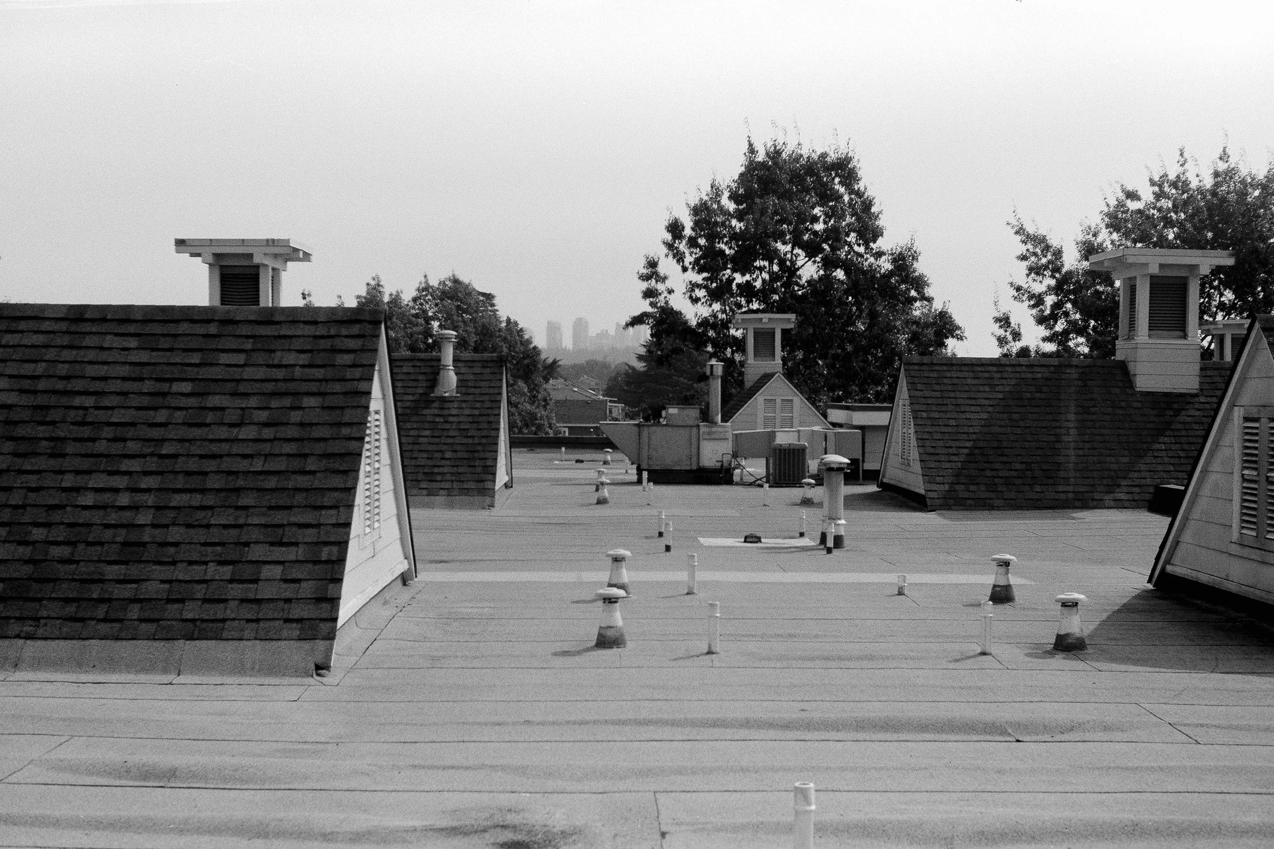 Finetta 88 | Acros 100