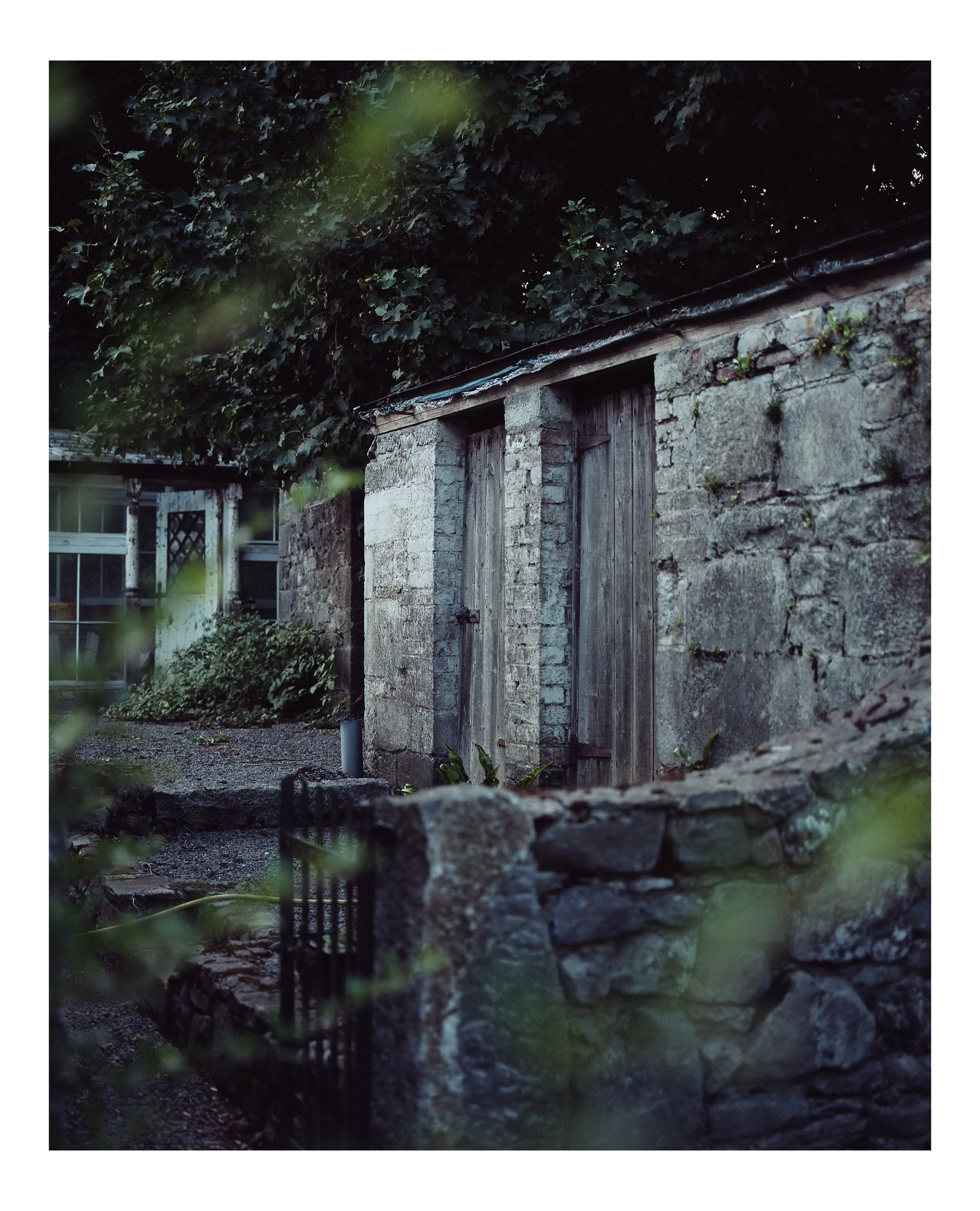 Mamiya RB67 | Pro 400H