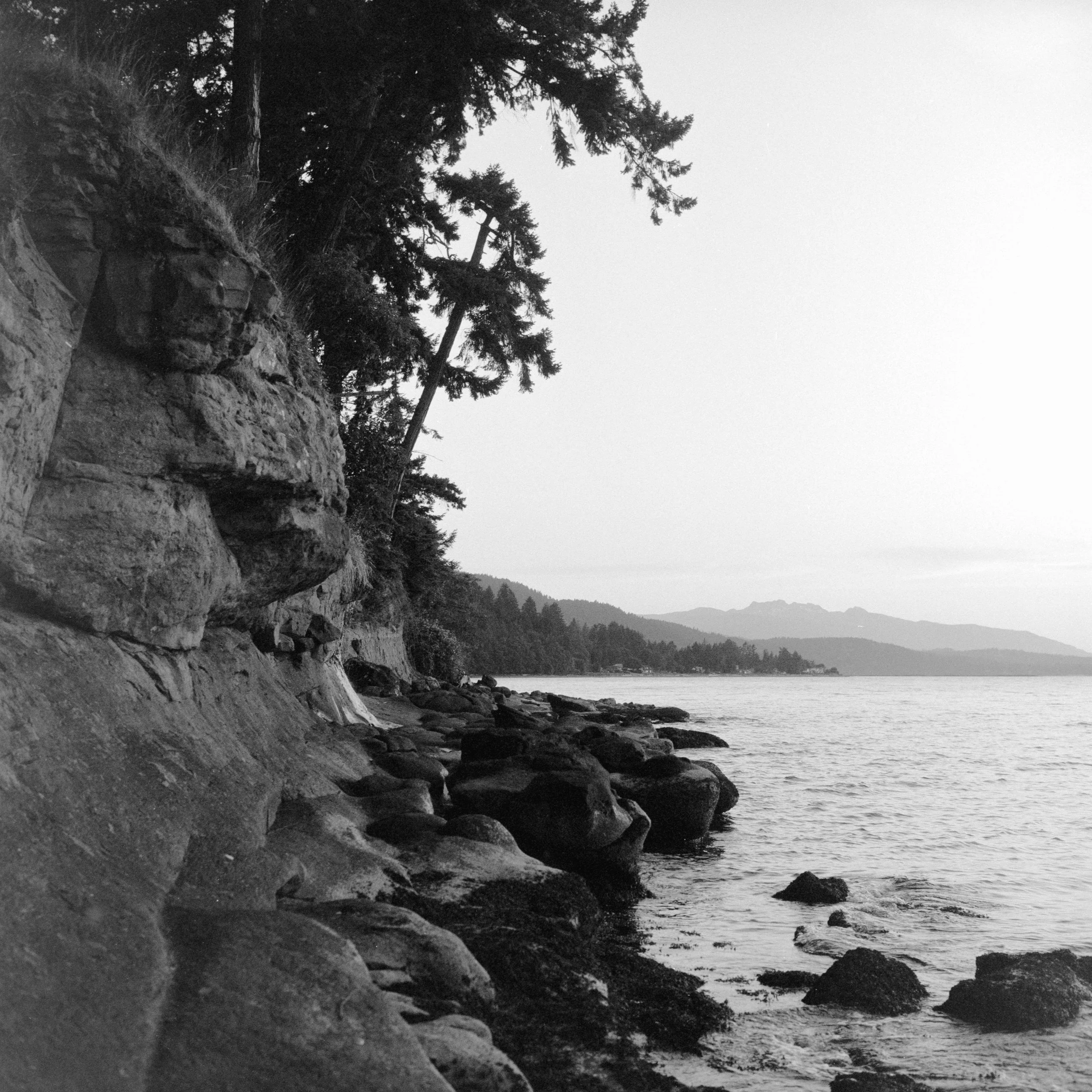 Rolleiflex 2.8F I Kentmere Pan 400