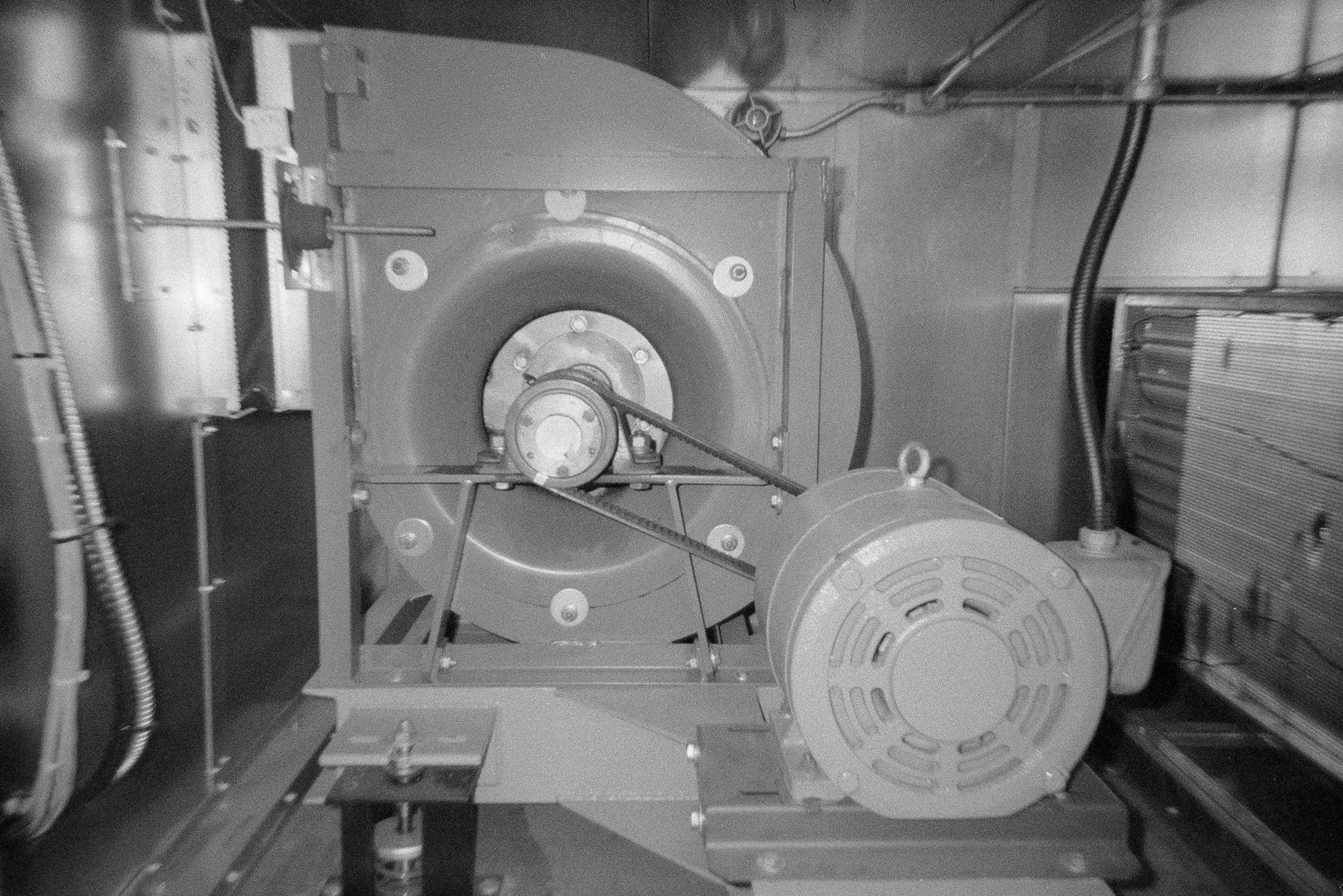 Harman Reusable | Kentmere Pan 400