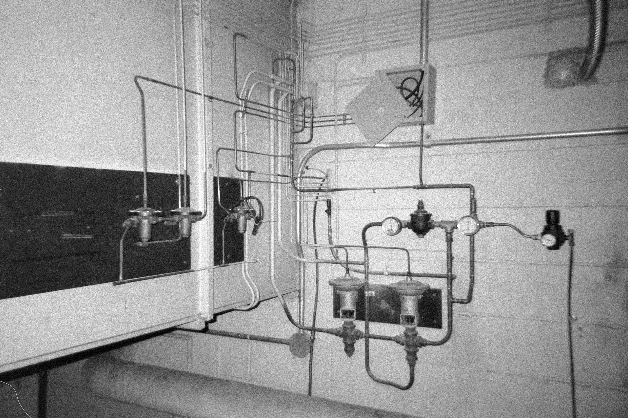 Harman Reusable | Kentmere Pan 400