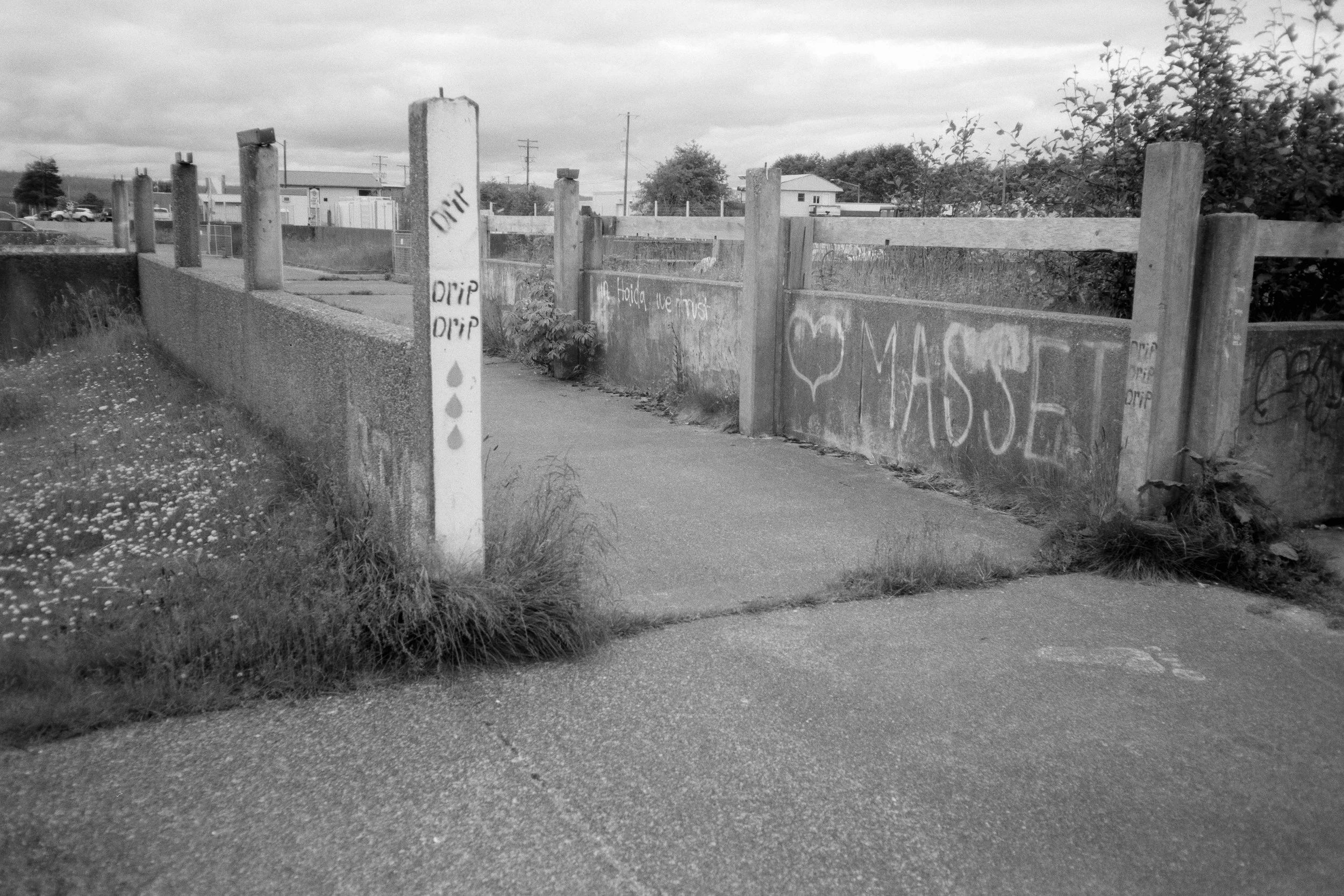 Olympus XA | Acros 100