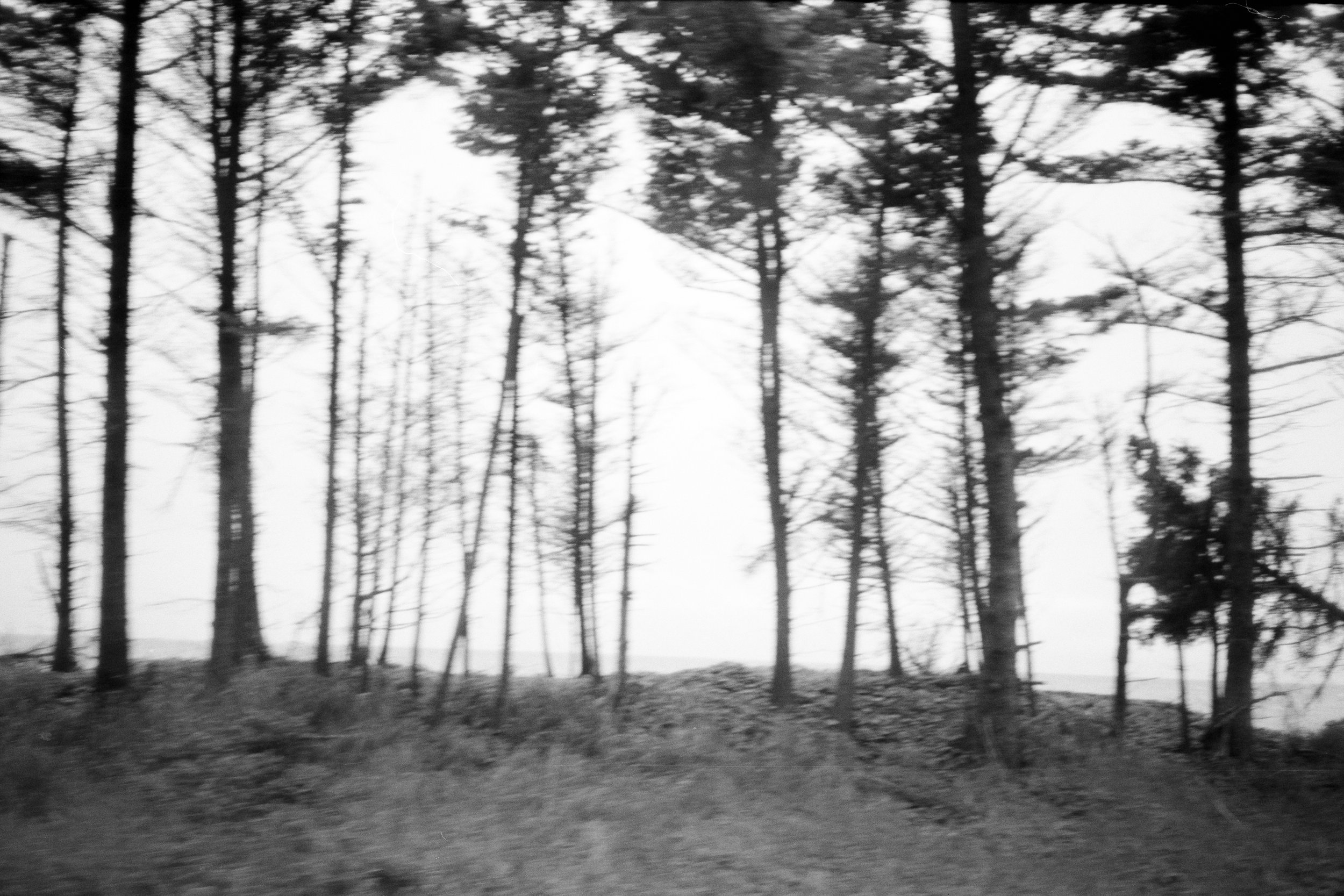 Olympus XA | Acros 100