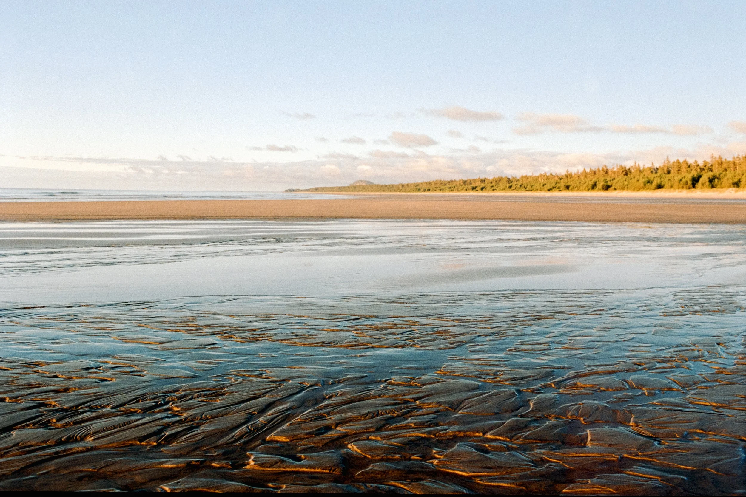 Nikon F3 | Aurora 800