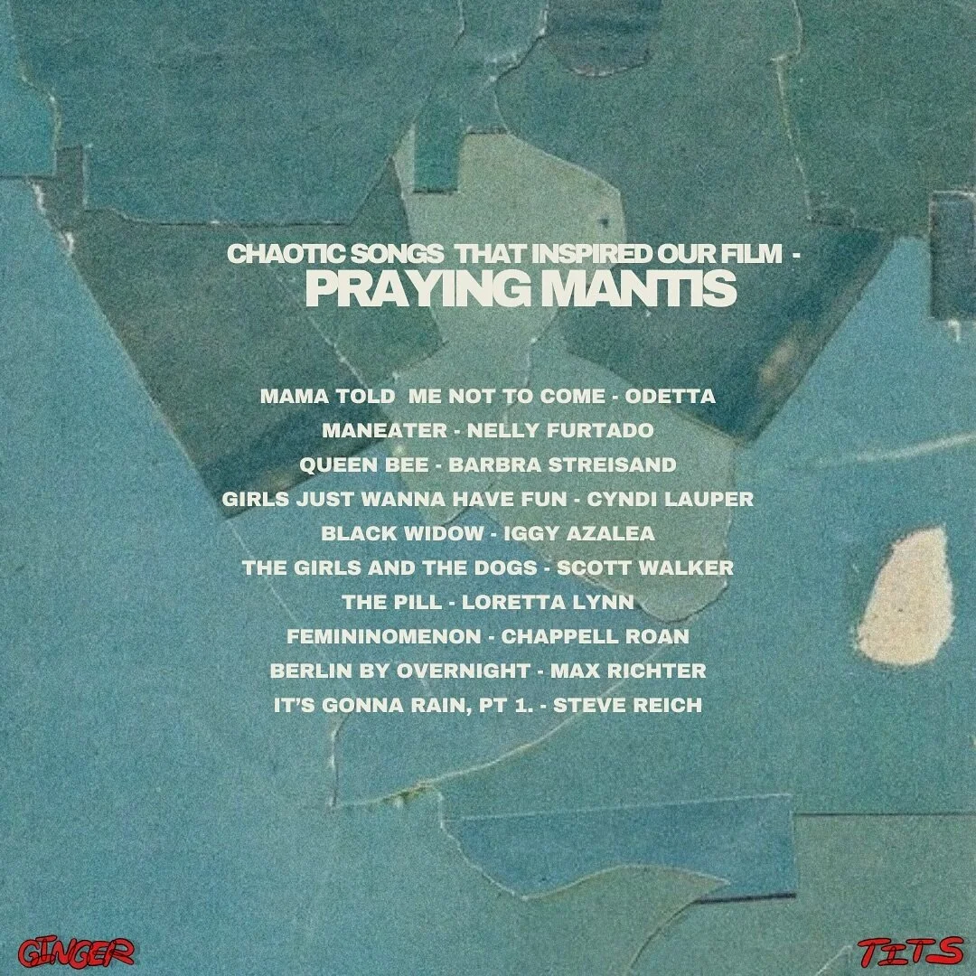 a few little songs that we like to listen to as we prep to make our movie, PRAYING MANTIS. Enjoy our inspo ✨