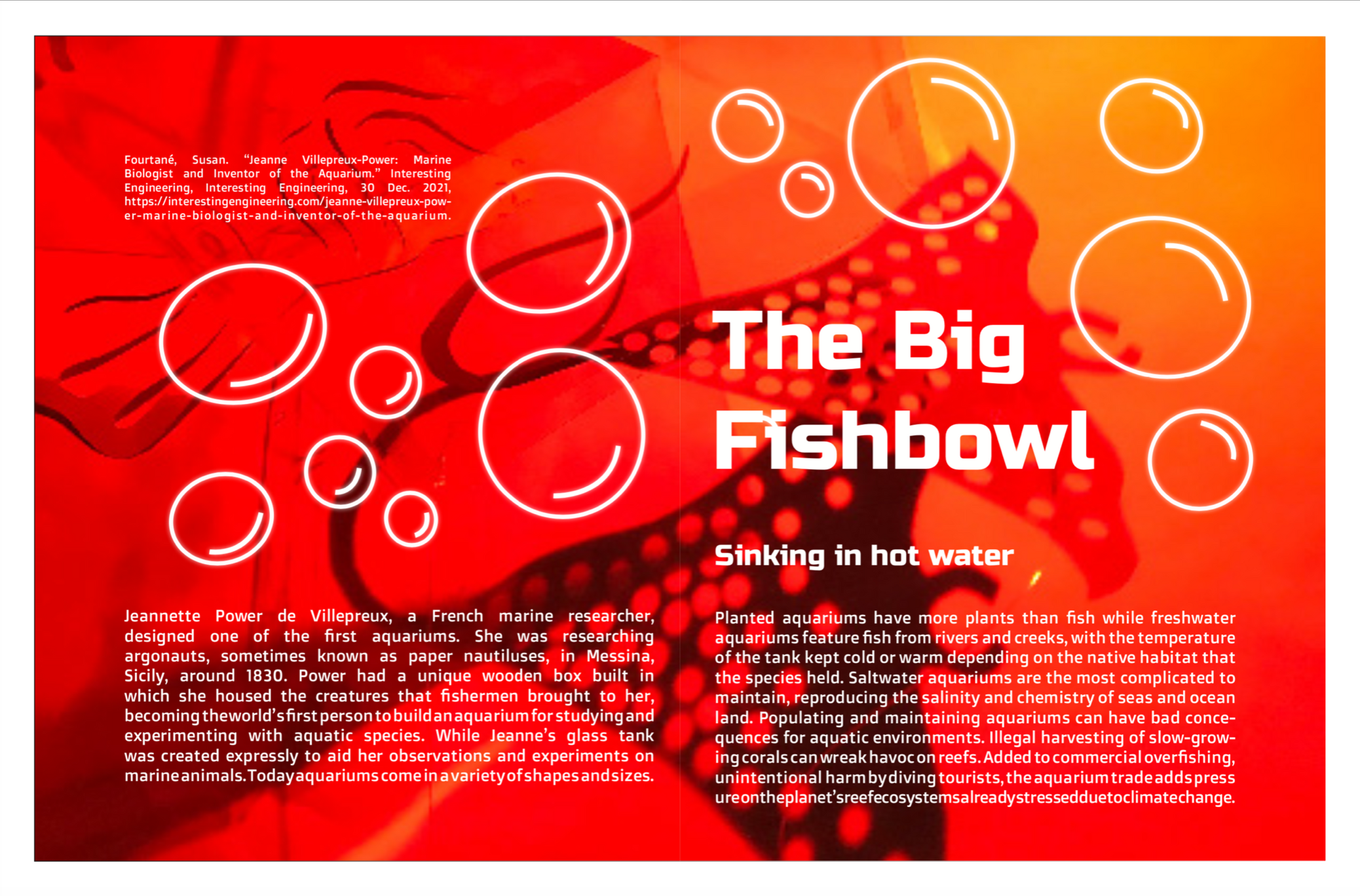 Screen Shot 2023-05-10 at 12.53.56 AM.png