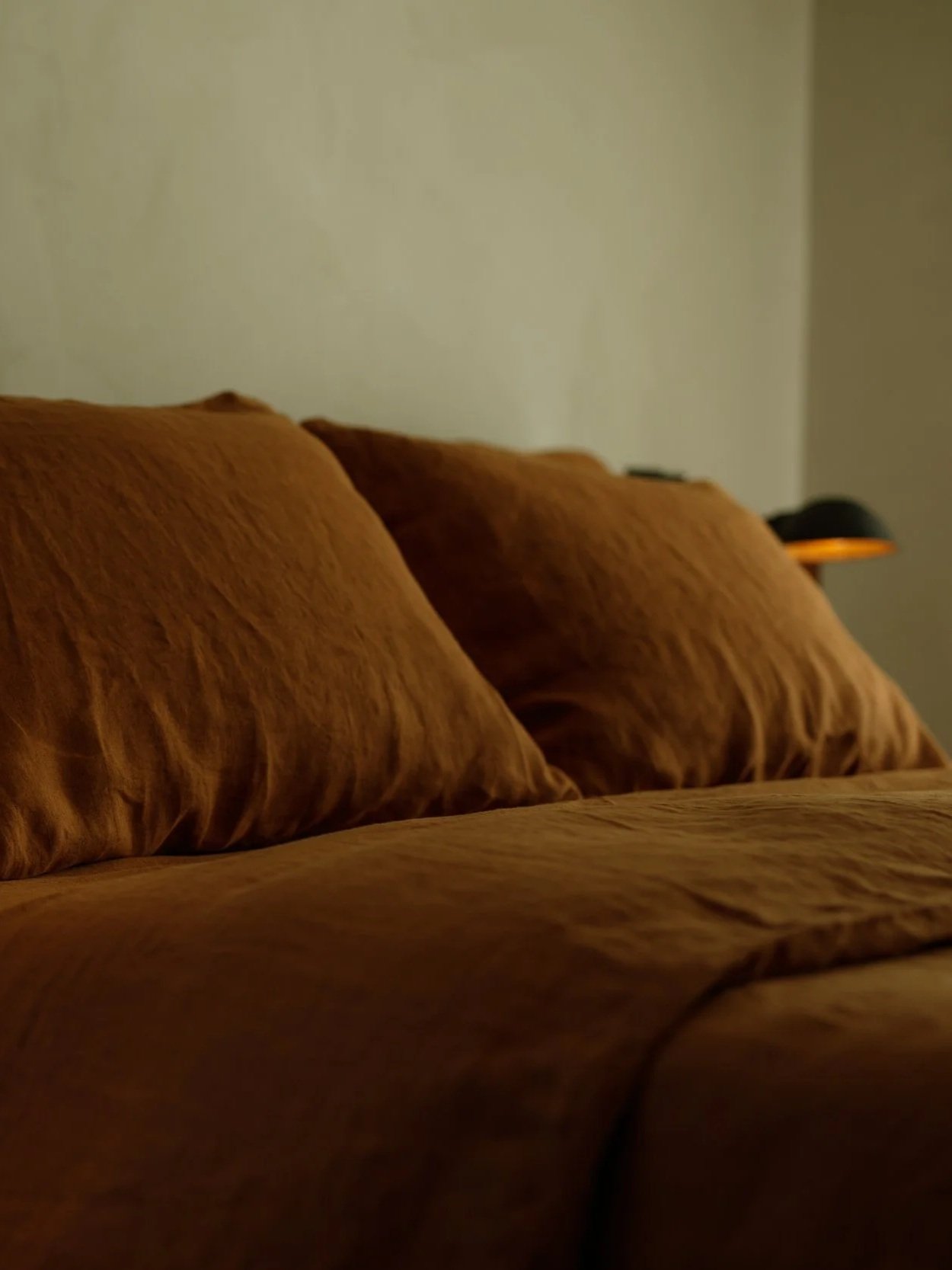 moody morning light natural plaster walls