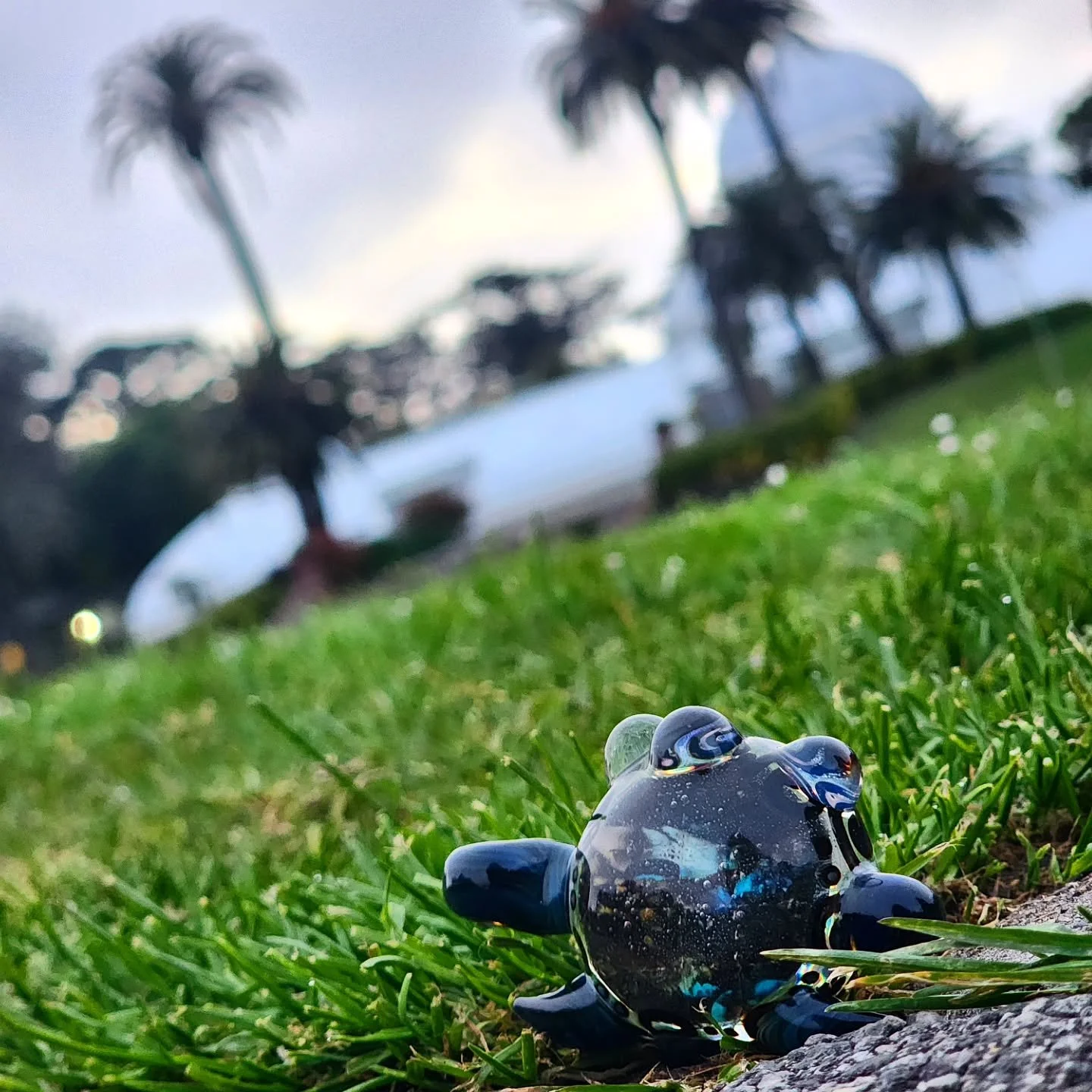 Lil Collab piece by @blotteronblotter &times; @warlockglassworks 
Photo taken in San Francisco @ Golden Gate park, @gardensofgoldengatepark Conservatory of Flowers🌷☀️ 
#goldengatepark #sanfran #sanfransisco #conservatoryofflowers #goldengate