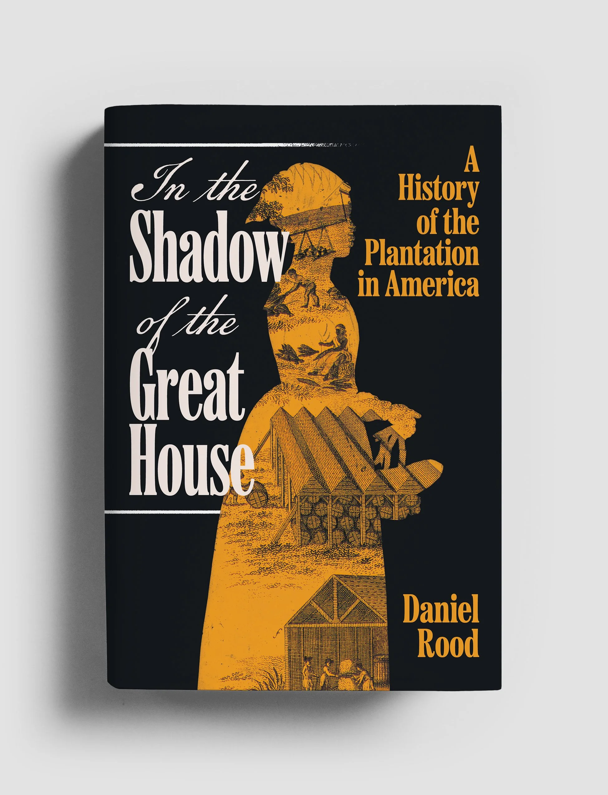 In the Shadow Cover of the Great House-REJECTED.jpg