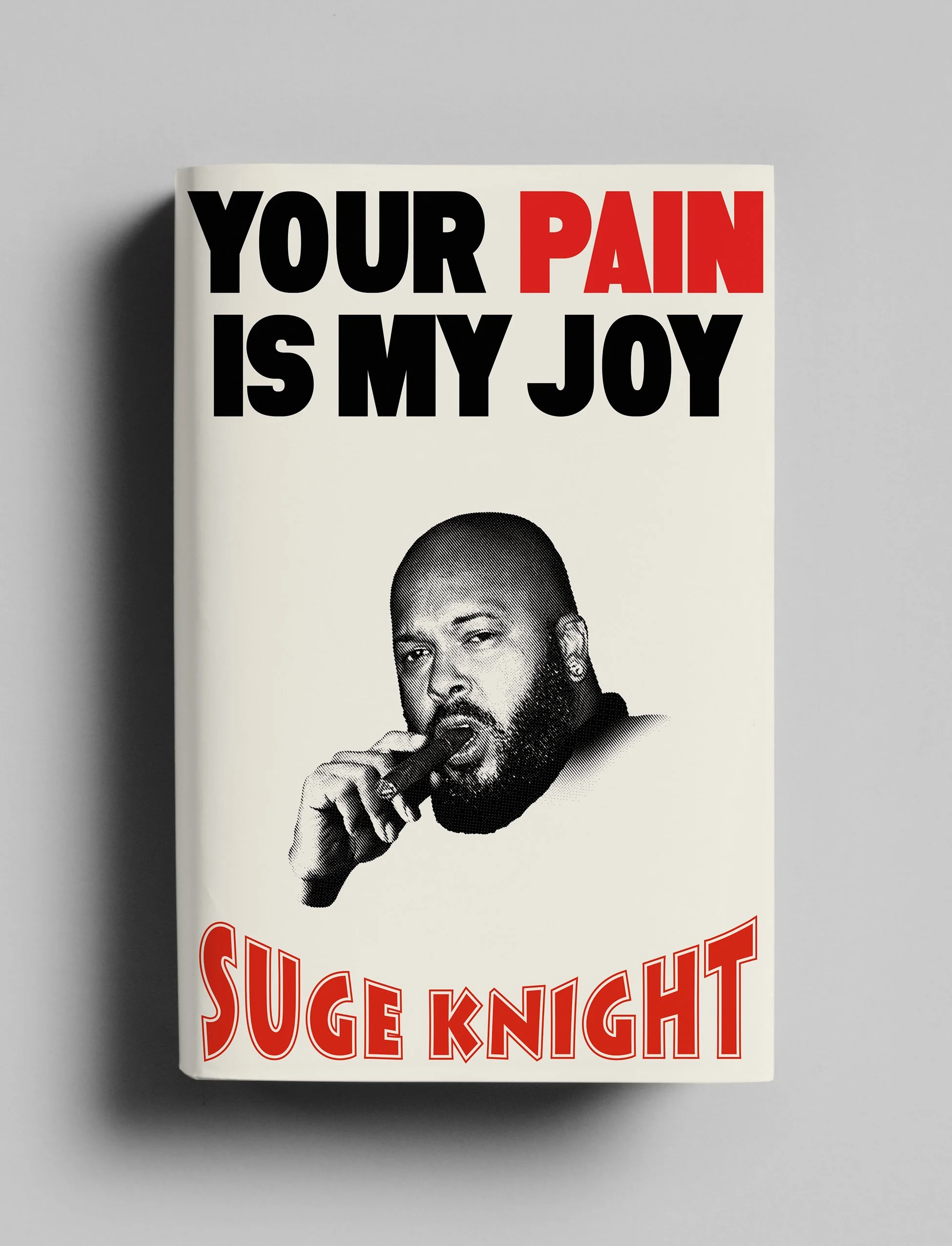 Your Pain is My Joy-AD2-3D.jpg