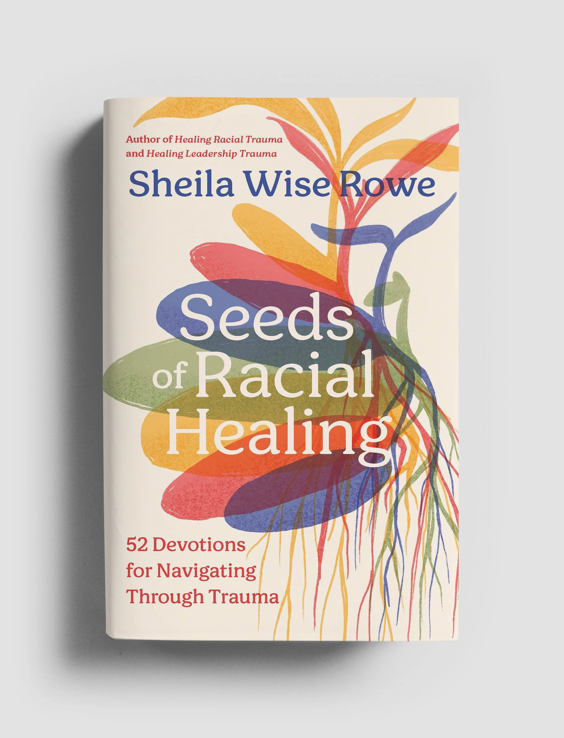 Seeds of Racial Healing.jpg