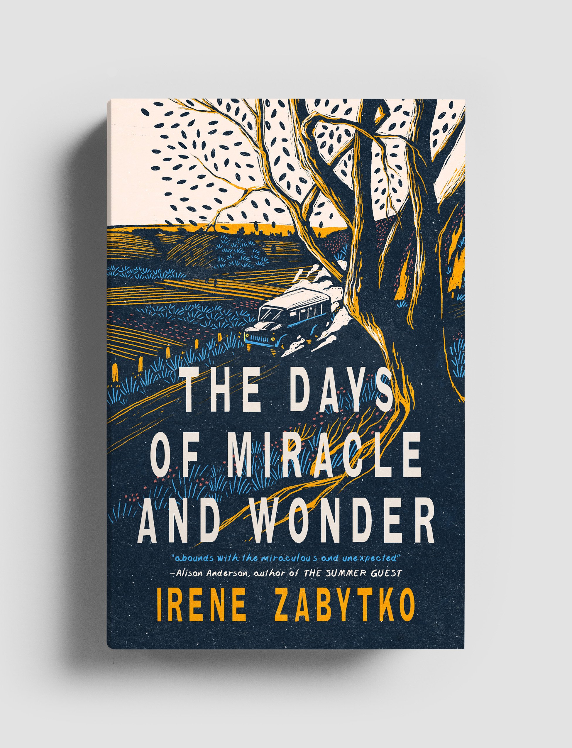 The Days of Miracle and Wonder.jpg