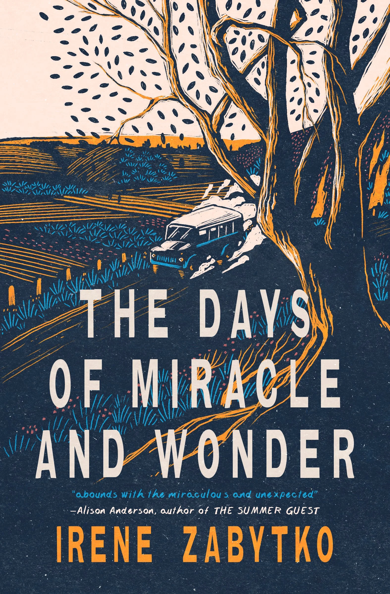 The Days of Miracle and Wonder-AD.jpg