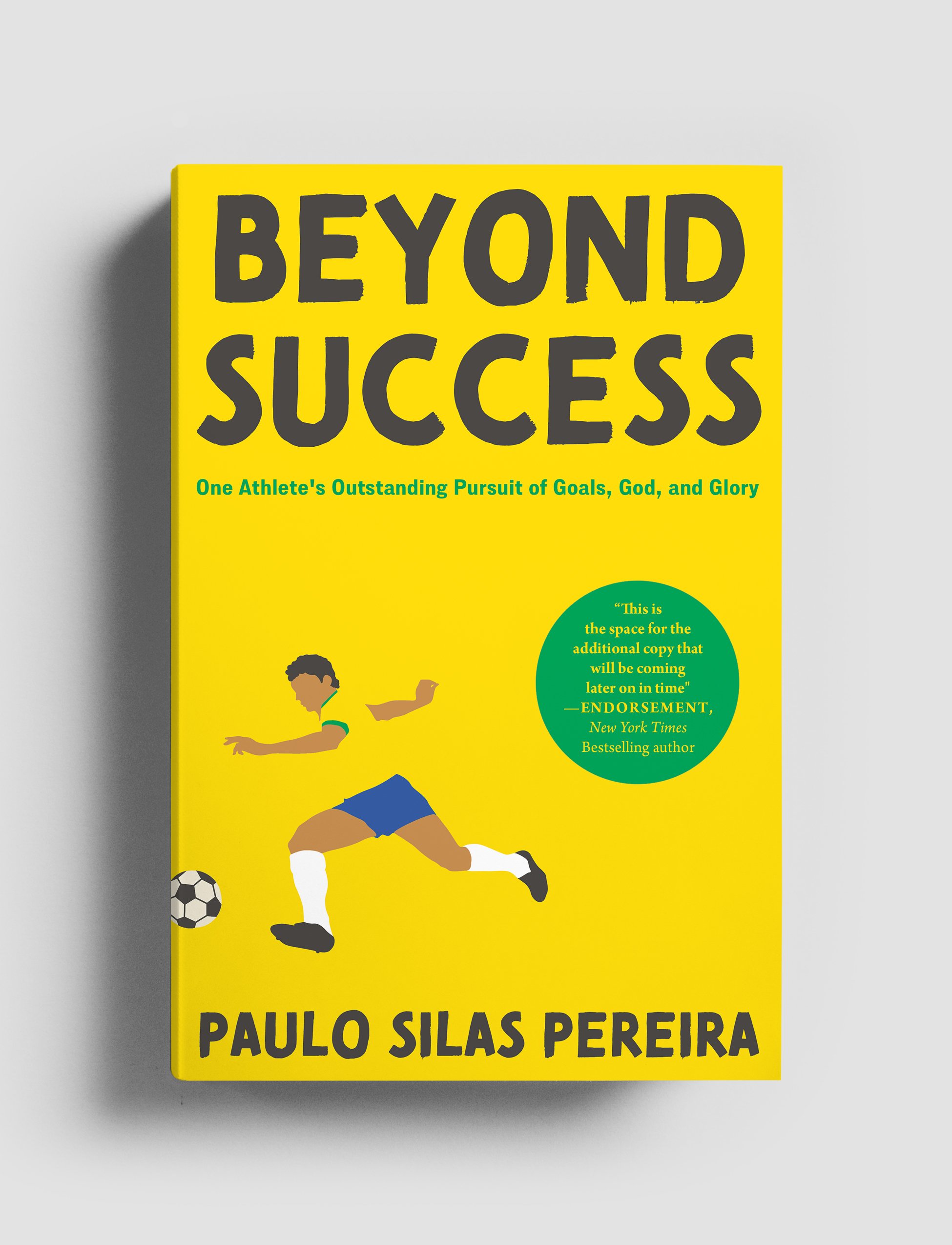 Beyond Success-3D.jpg