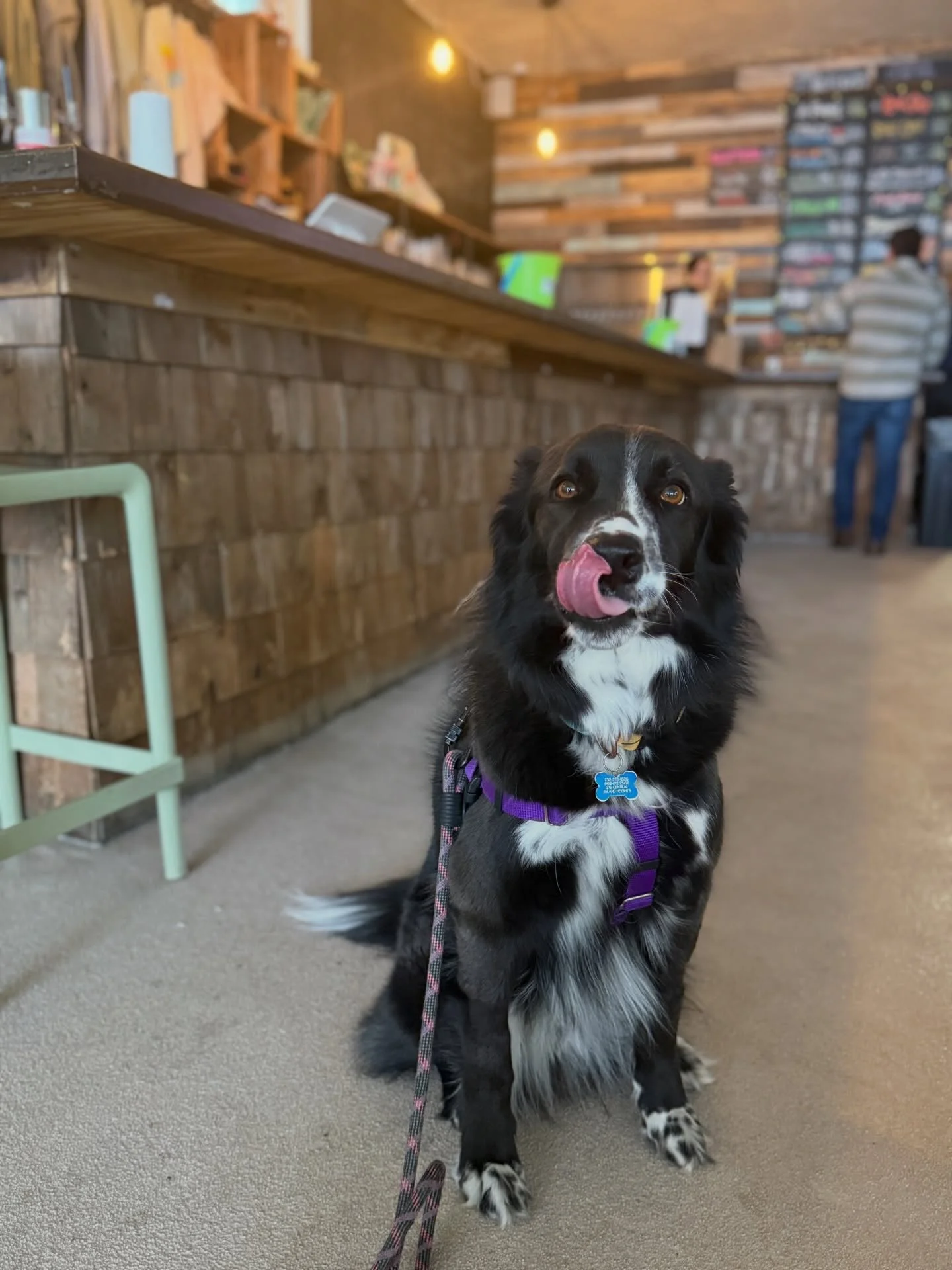 Thursday- join us at @lastwavebrewing to paint your own charcuterie board and sip some delicious brews 🍻🧀 Hit the link in our bio for tickets 🎨
