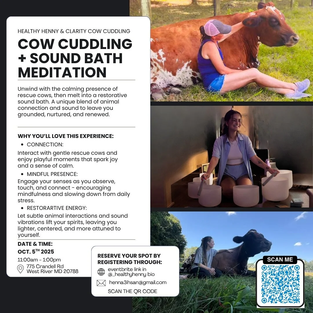 Moo-ve over stress! 🐄✨ it&rsquo;s time to cuddle with rescue cows and melt into a restorative sound bath. Because sometimes the best self-care comes with four hooves and a heart full of love. 🥰

Limited spots available. Registration link in bio. Ca