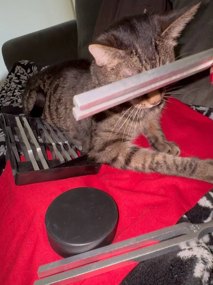 Most people think of tuning fork therapy as something only for humans, but animals can benefit just as deeply 🐾✨

Animals are naturally sensitive to vibration and frequency. When tuning forks are activated near their body, the gentle sound waves hel