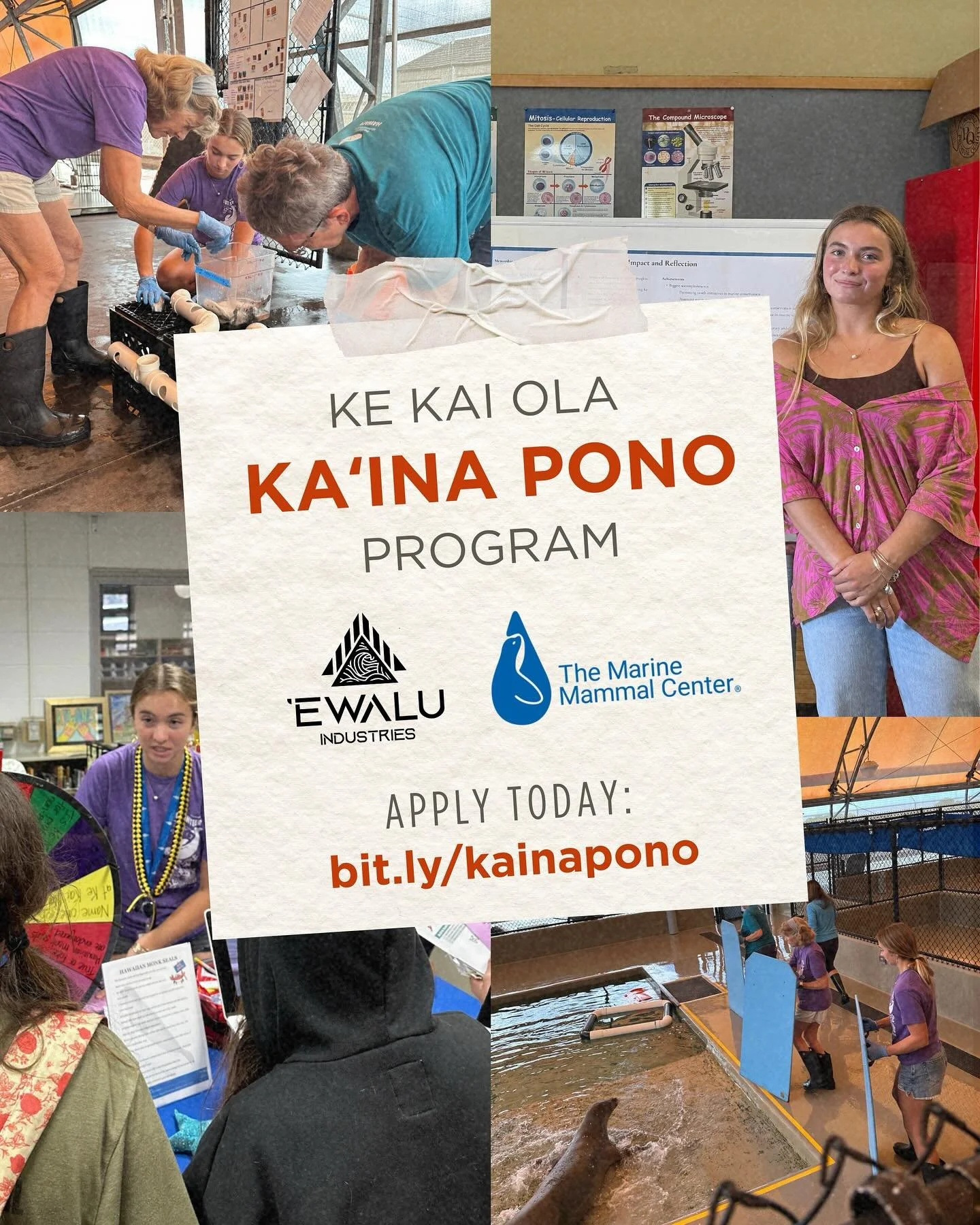 The Kaʻina Pono Program at Ke Kai Ola offers high school juniors and seniors the opportunity to work alongside experienced mentors, contribute to projects that matter and connect school learning with real-life situations.

✅ 60 hours of place- and pr