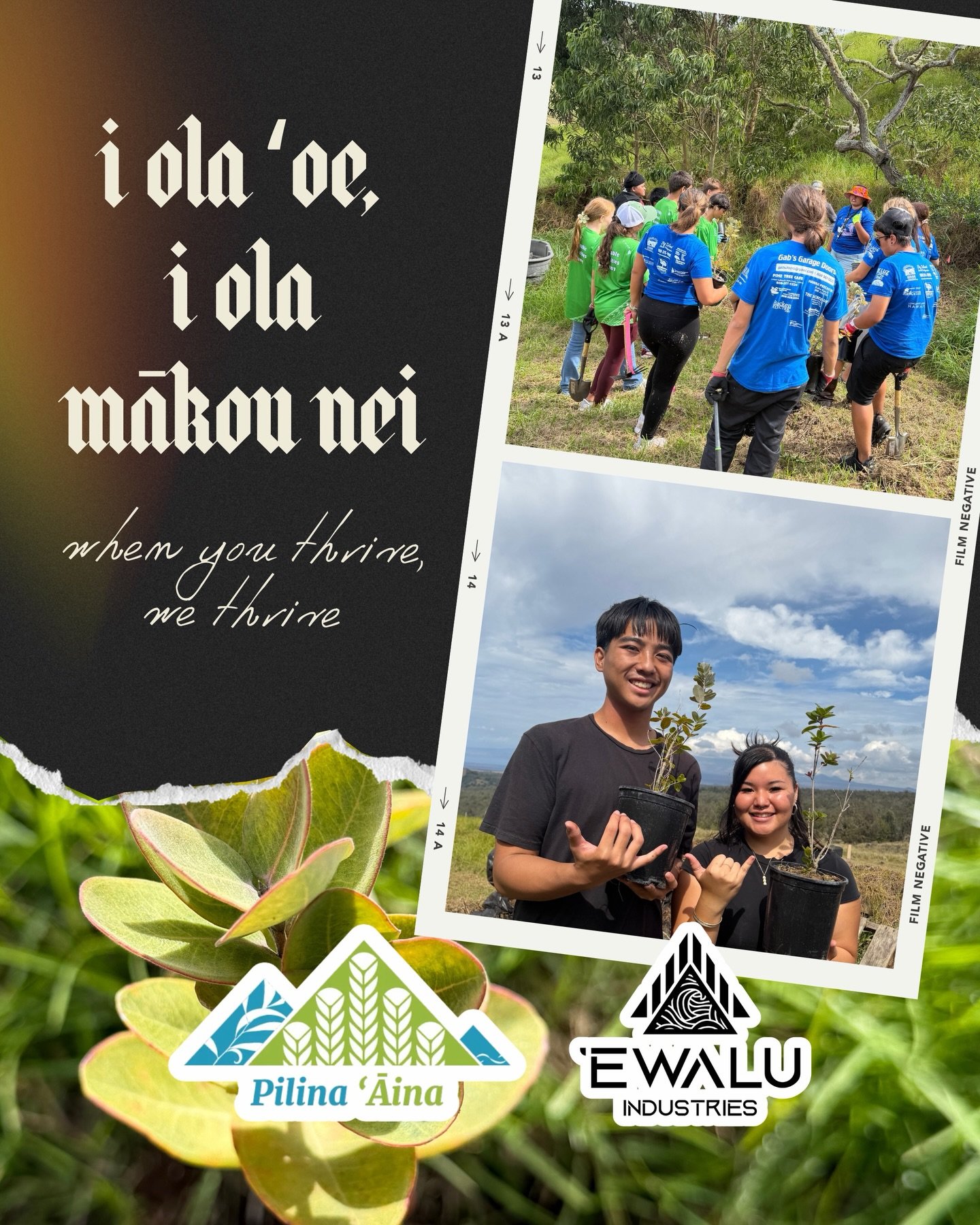 Mahalo nui loa e @pilina.aina for hosting 15 students from @khswaveriders Agriculture Pathway at the wahi pana of Puʻu Waʻawaʻa. The students got to learn about the moʻolelo of this space, took part in hands-on ʻāina restoration, and each planned the