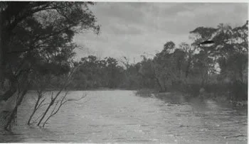 River in Flood