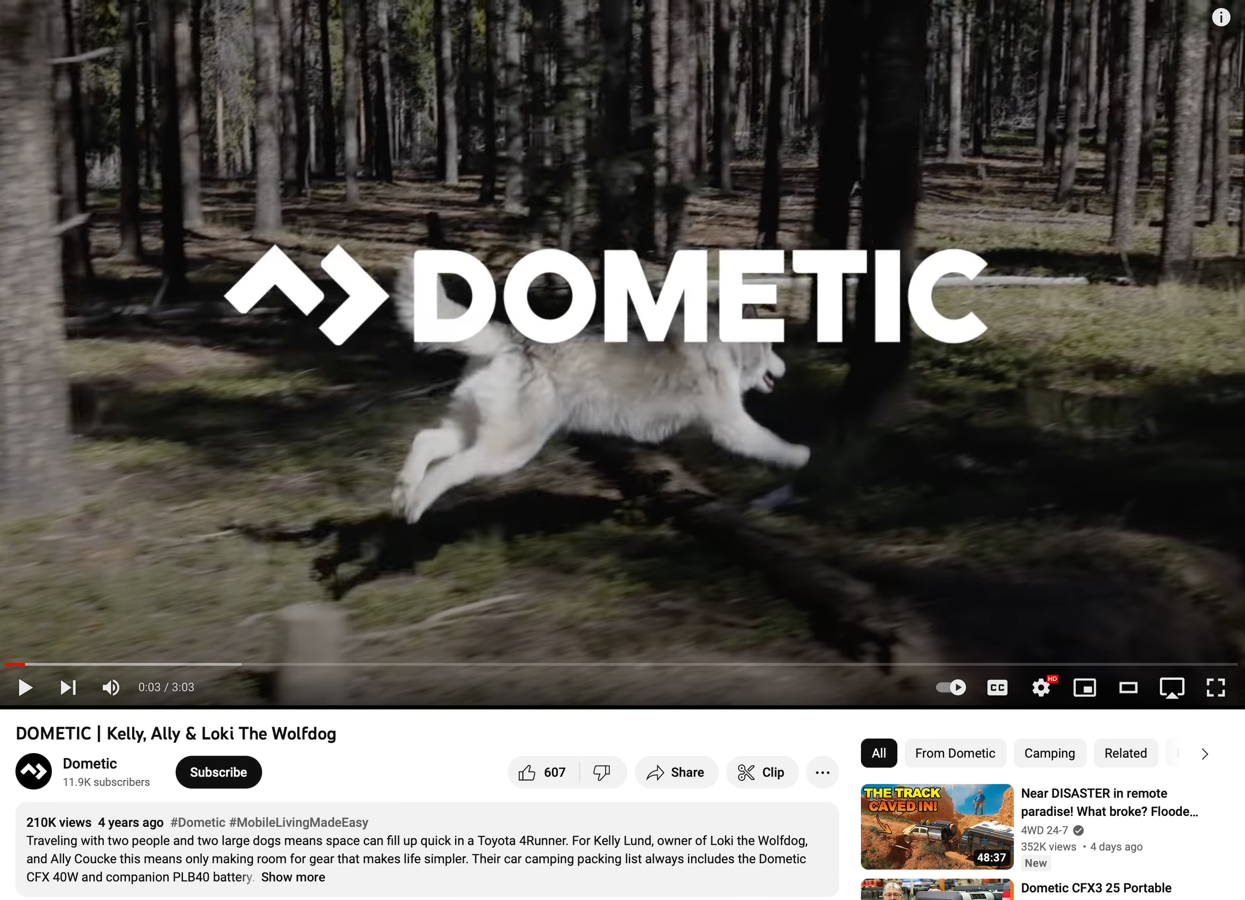 Short Form Video Storytelling - 210K+ Views