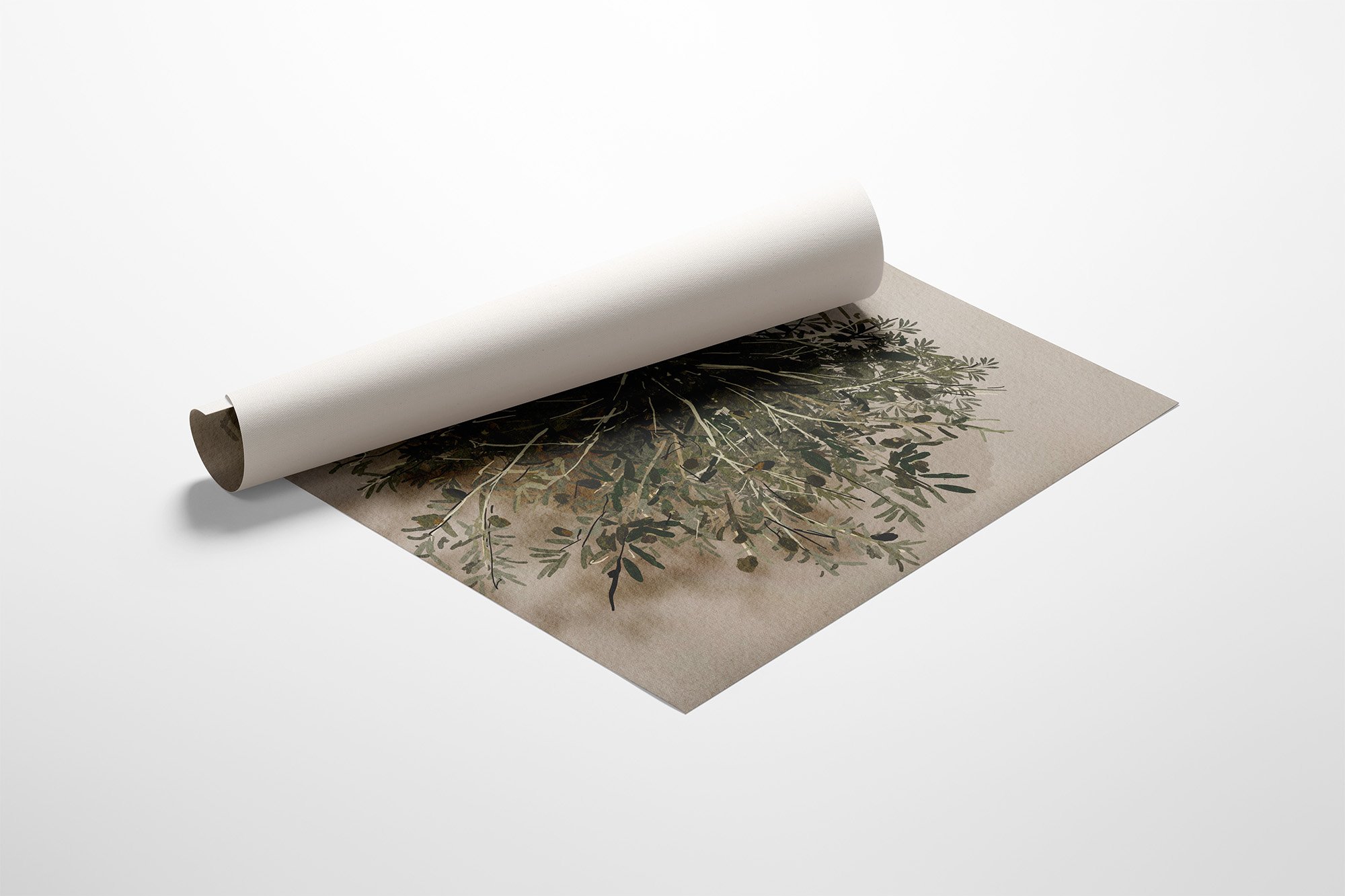 Olive_lady_canvas_2.jpg