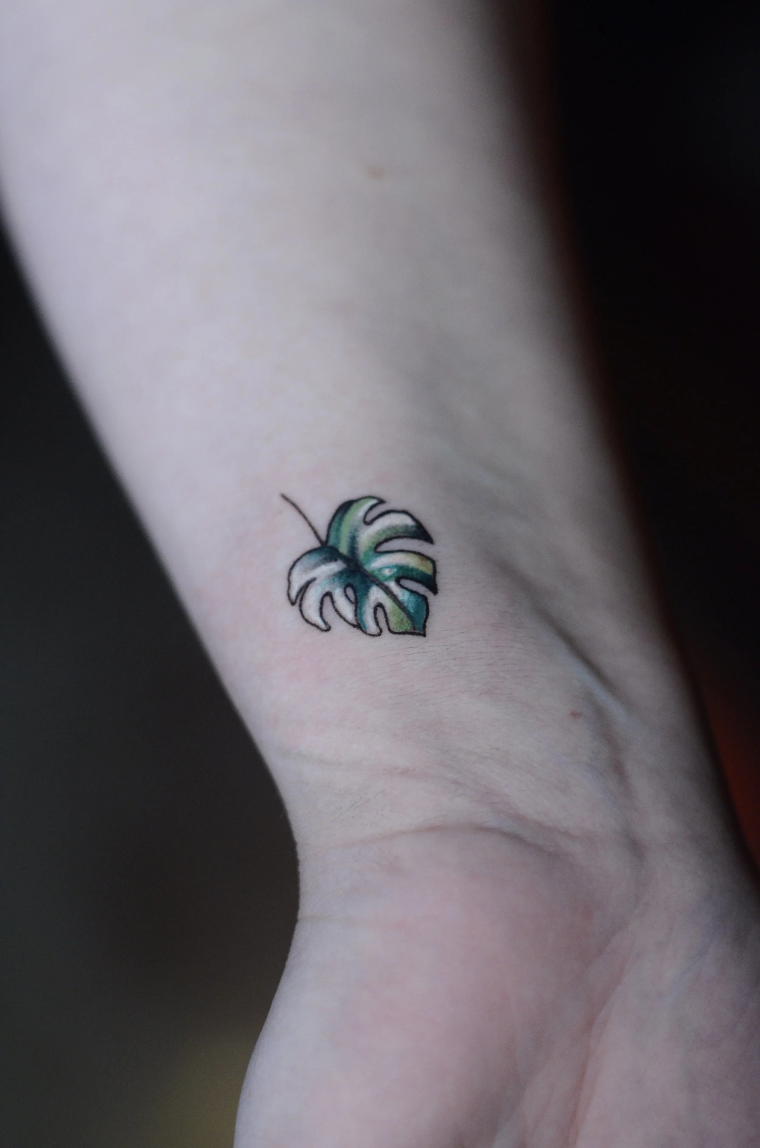 DSC_3722.jpeg