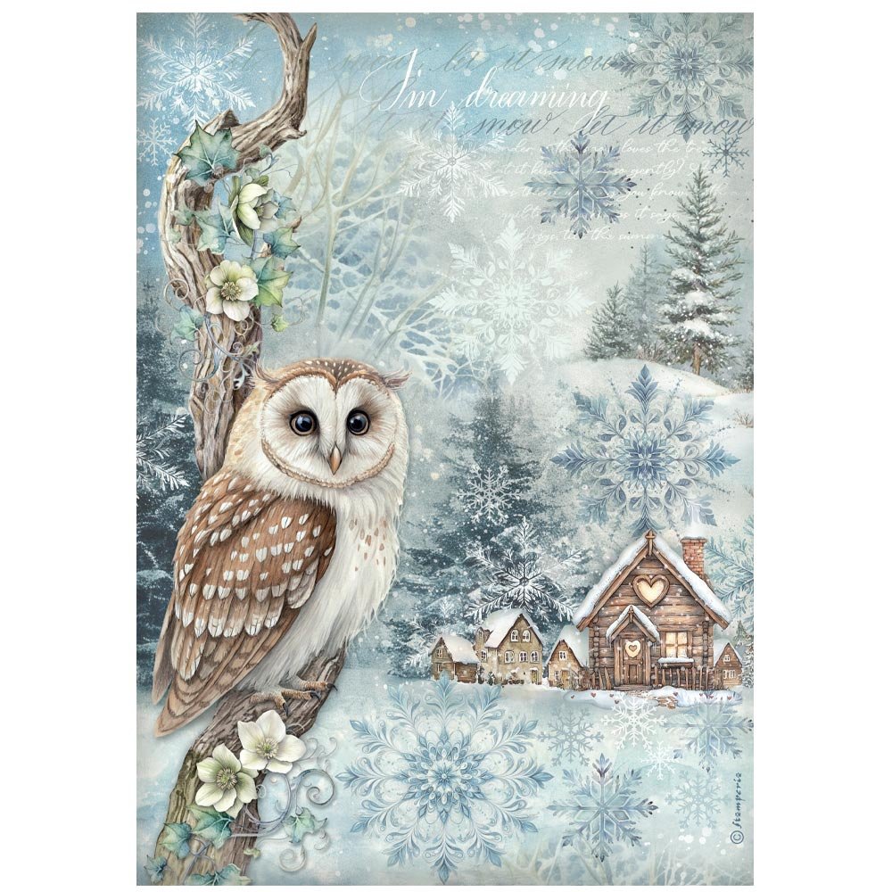 Stamperia - The Owl's House - A4 Rice Paper - Owl - DFSA41052