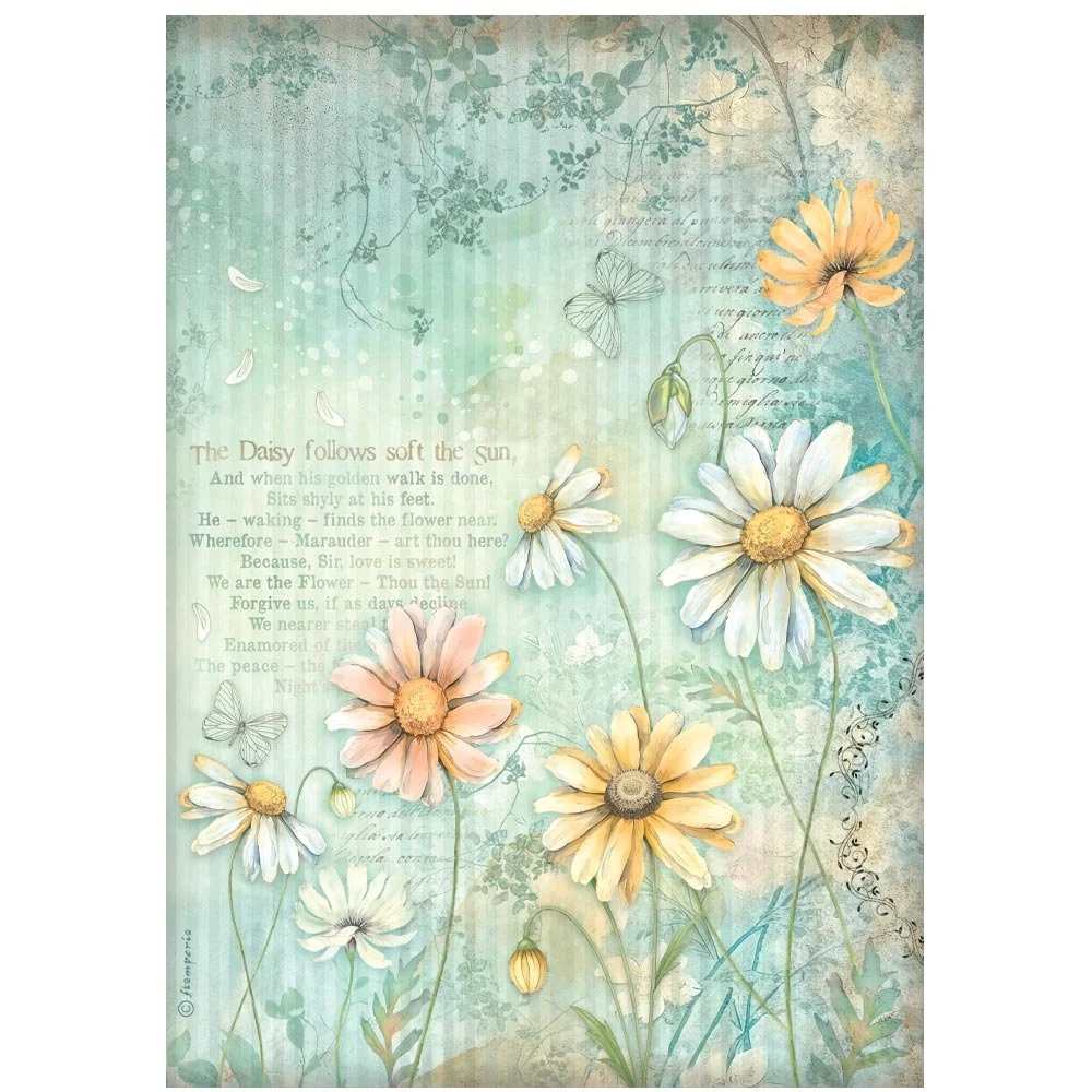 Stamperia - Daisy Art - A4 Rice Paper - Daisies - DFSA41093