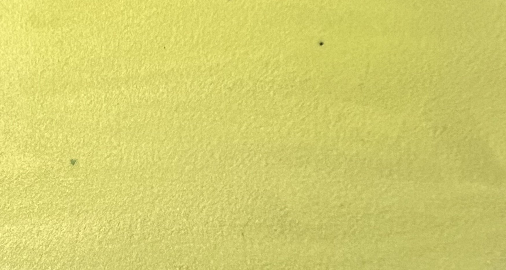 716934DT6.jpg
