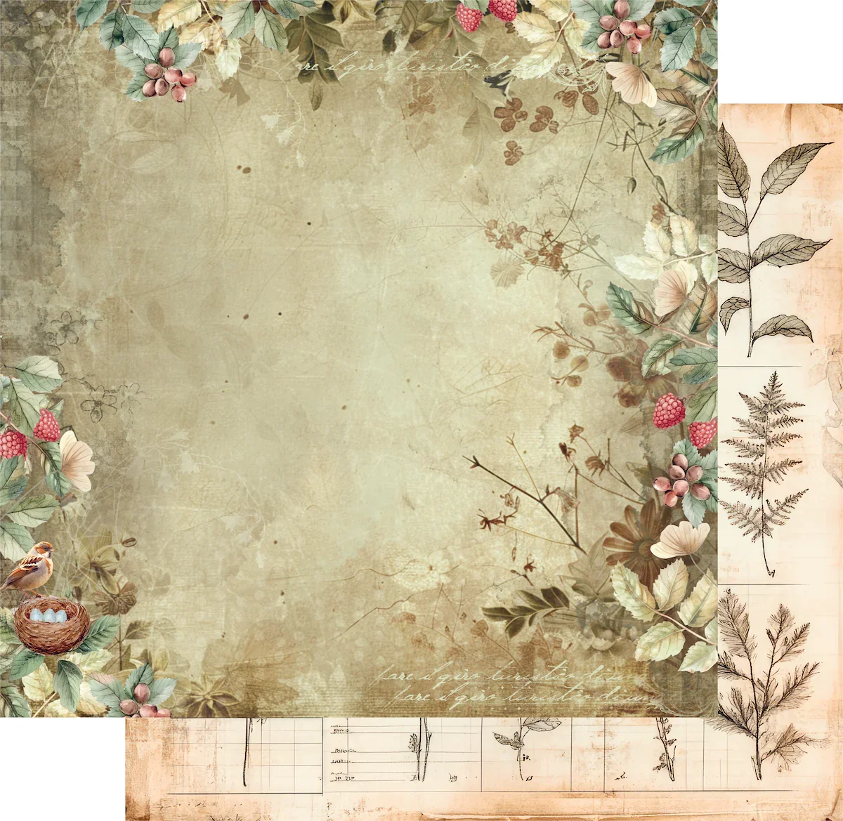 Uniquely Creative - Beautiful Botany Paper - UCP2967