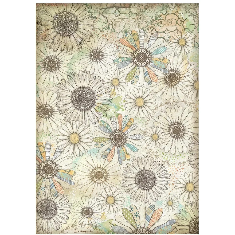 Stamperia - Daisy Art - A4 Rice Paper - Daisy Pattern - DFSA41096