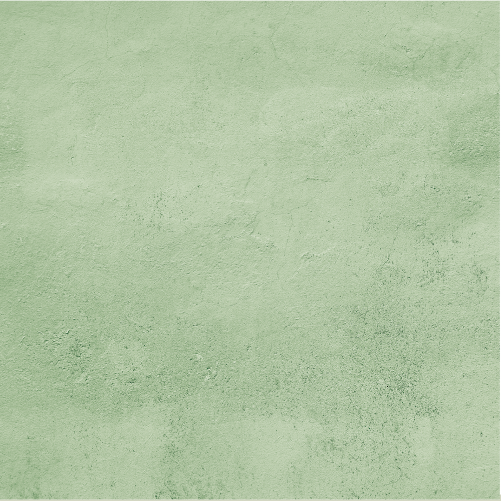 UCP3119 Beautiful Rituals B.png