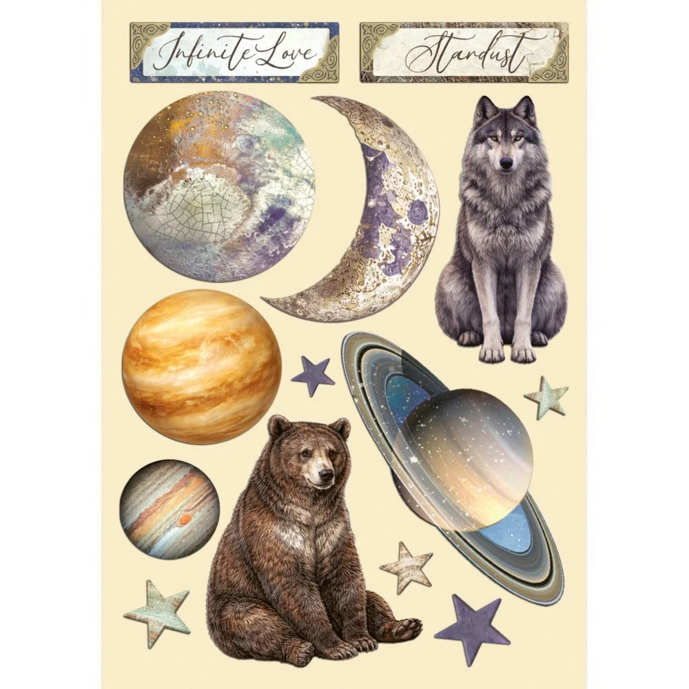 KLSP207_1.jpg