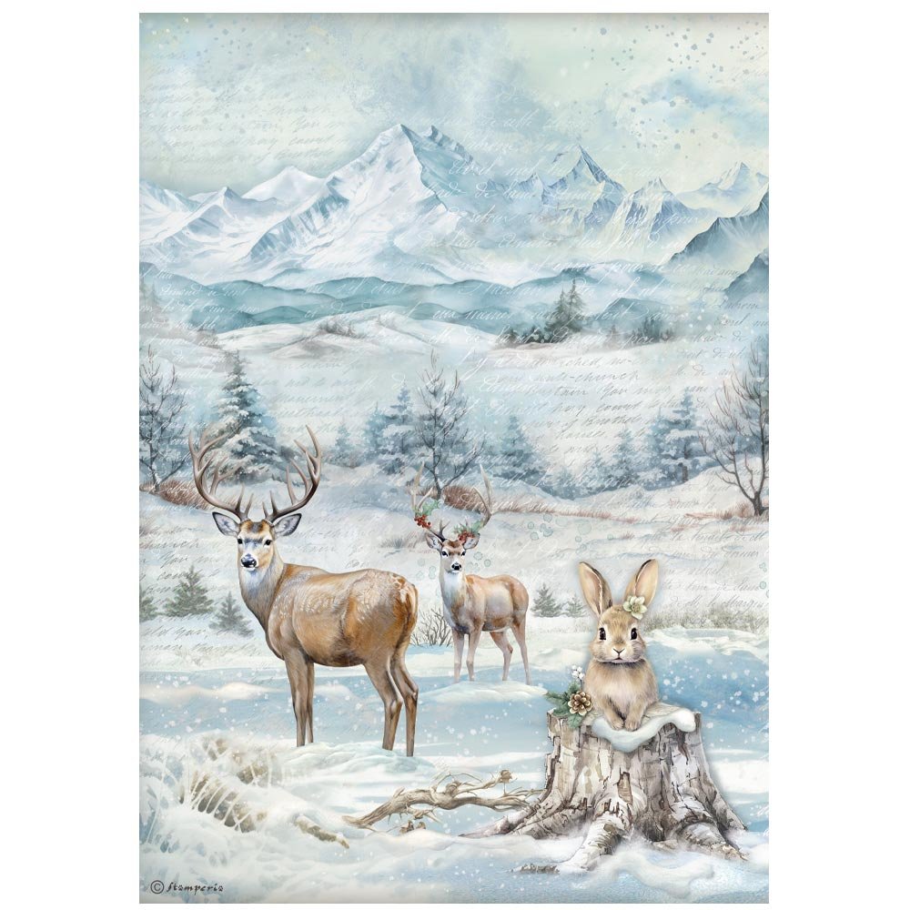 Stamperia - The Owl's House - A4 Rice Paper - Wildlife - DFSA41055