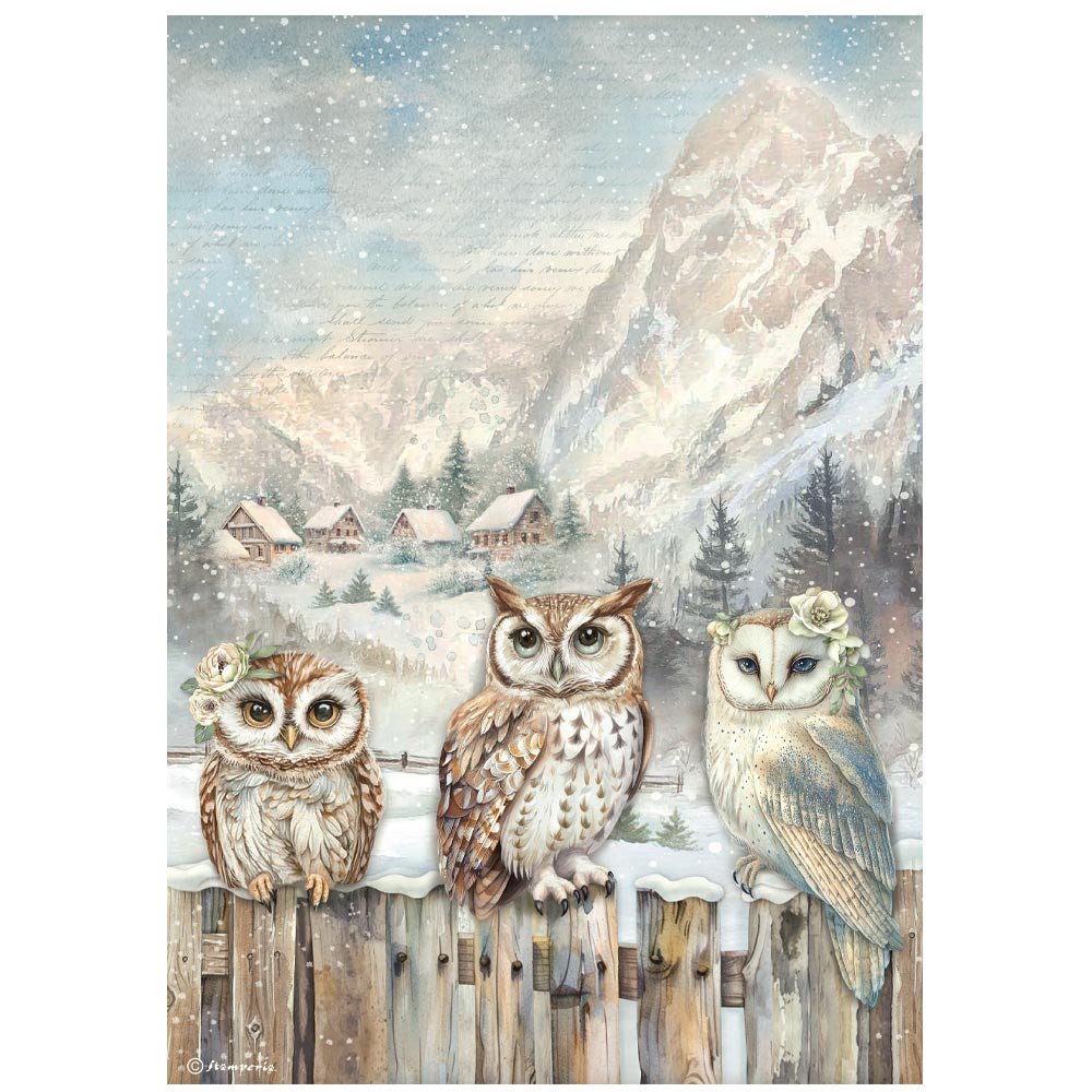 Stamperia - The Owl's House - A4 Rice Paper - 3 Owls - DFSA41054