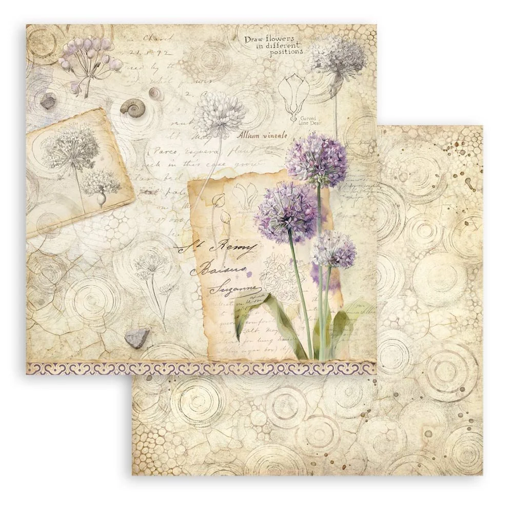 Stamperia - All Around - Scrapbooking Paper - Allium - SBB1146