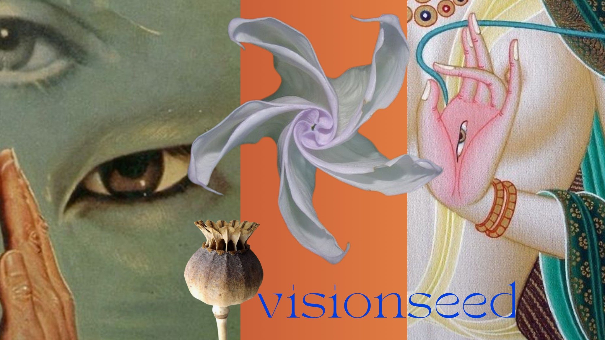 Visionseed Oracle Deck by Quincee Lark