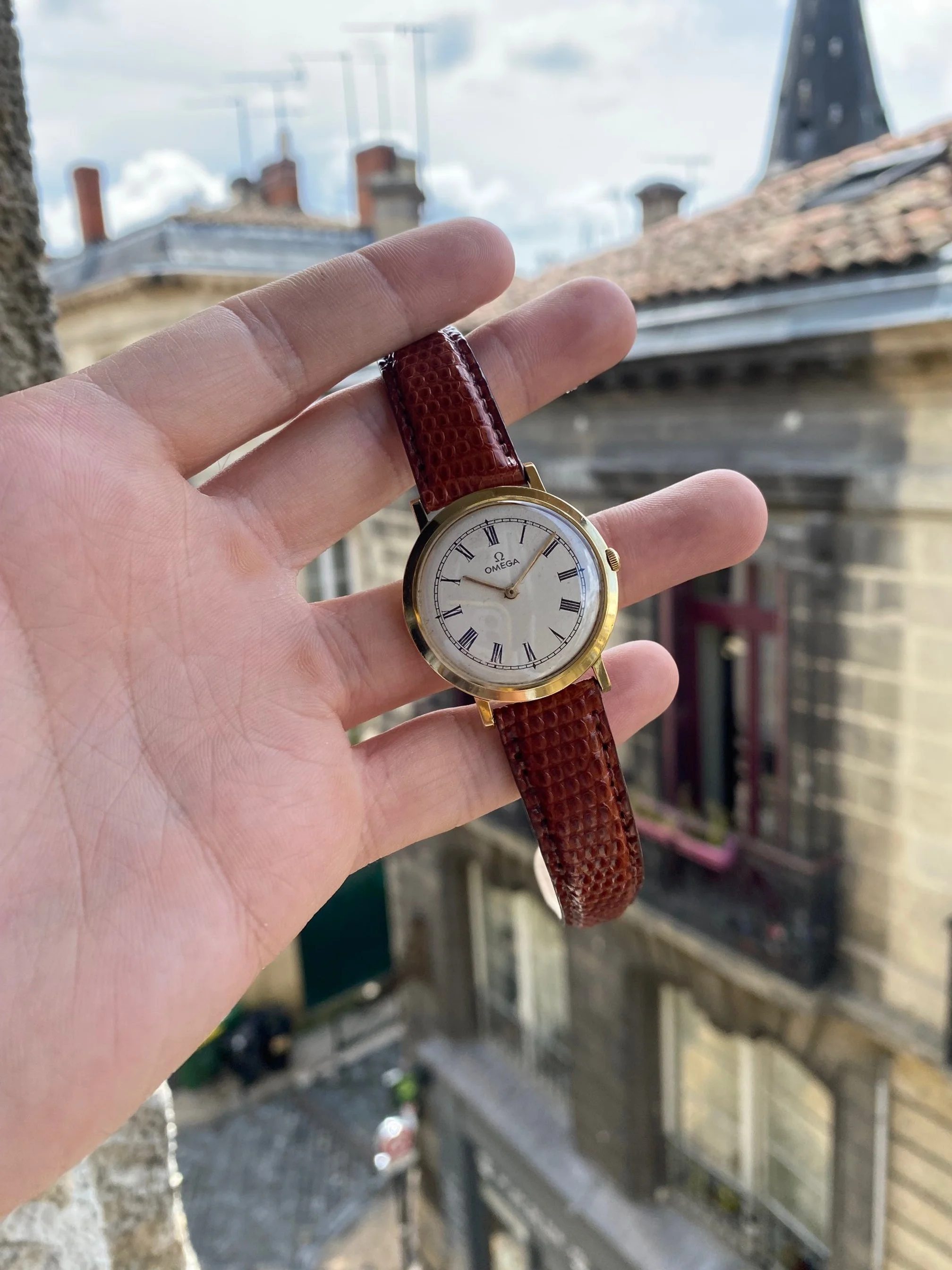 Oméga Calatrava 3.jpg