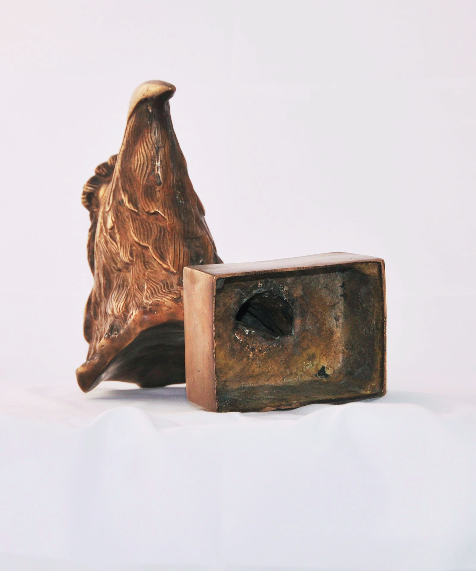 T%C3%AAte+d%27aigle+bronze+%283%29.jpg