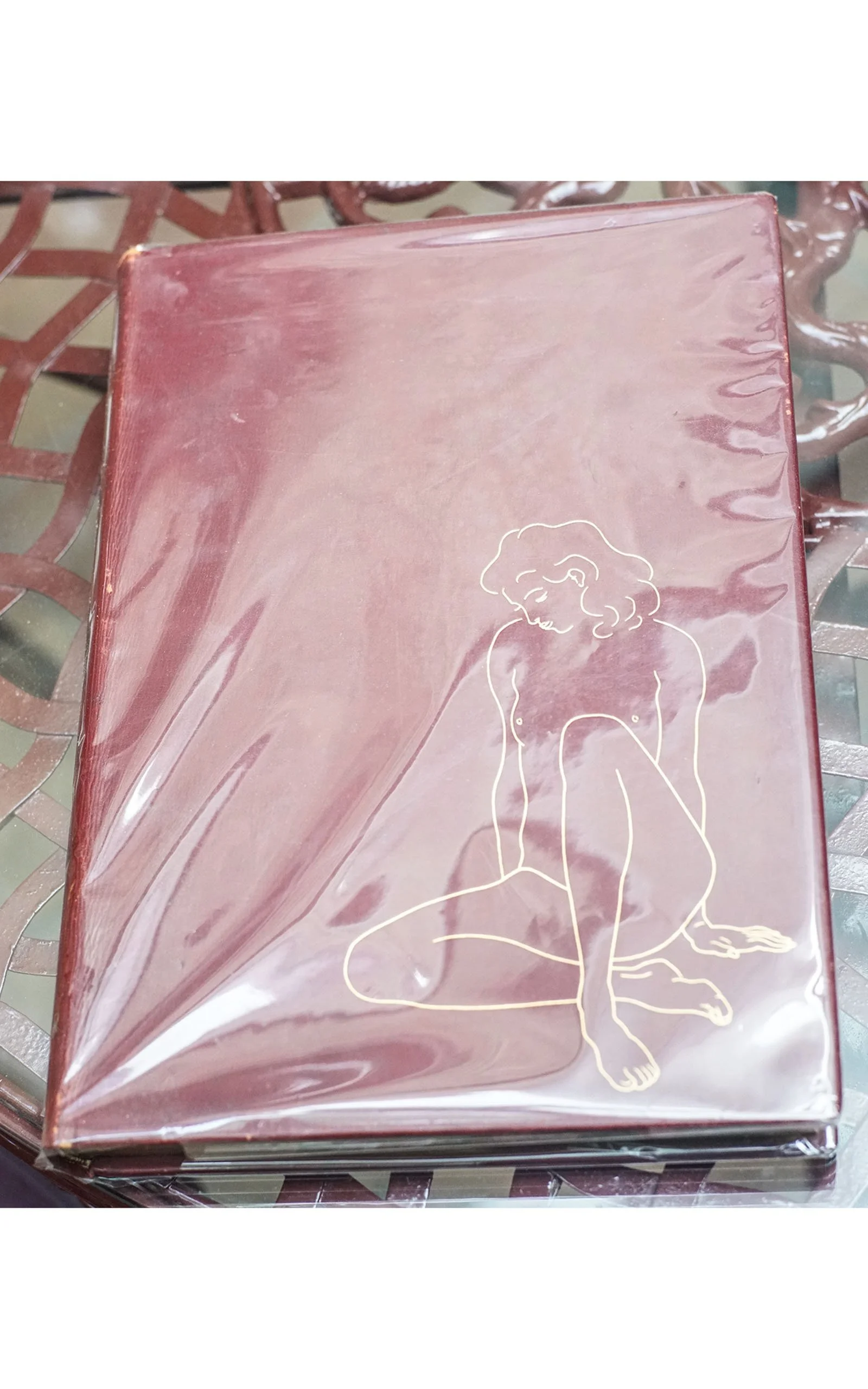 Curiosa OVIDE, L'ART D'AIMER (1).JPG