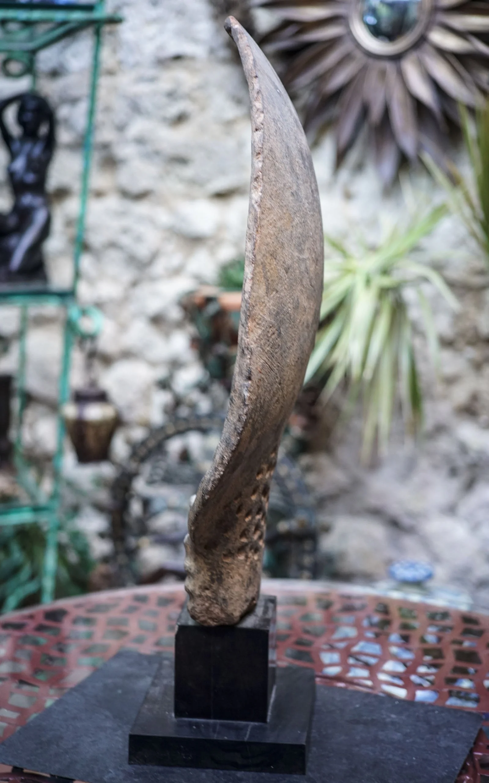 TÊTE AKAN, terre cuite sur socle, peuple Kwahu, Ghana (4).JPG