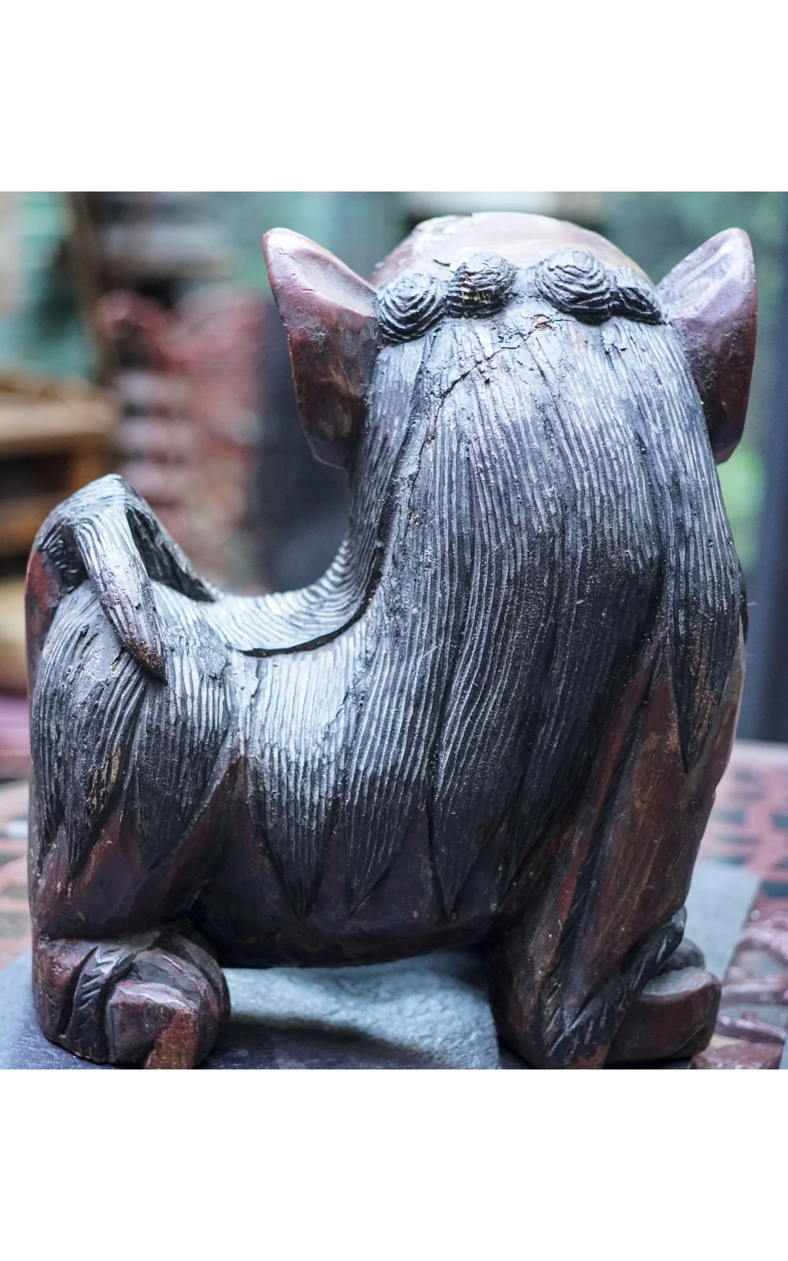 Chiens de Fô bois (11).JPG